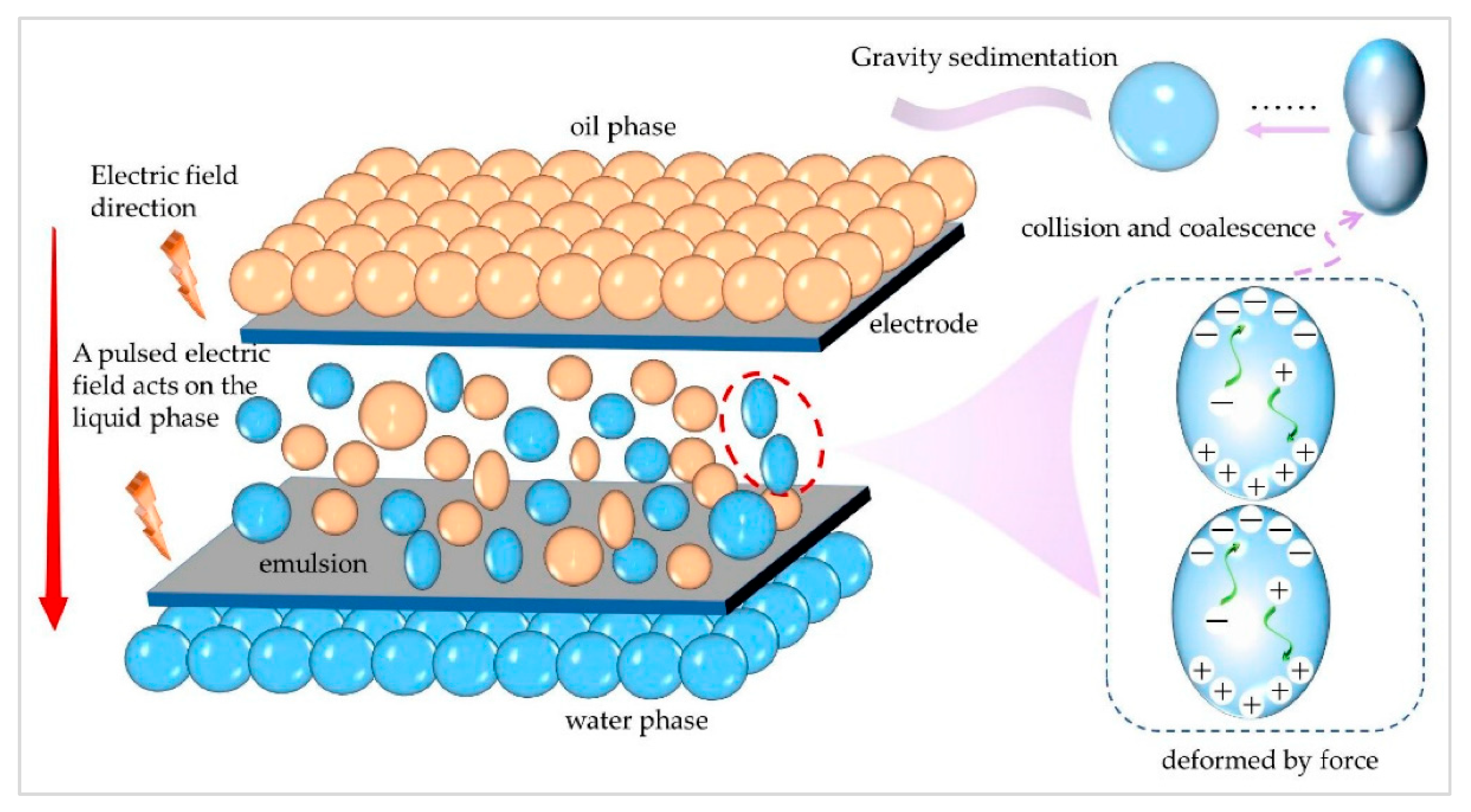Chemengineering 09 00113 g007