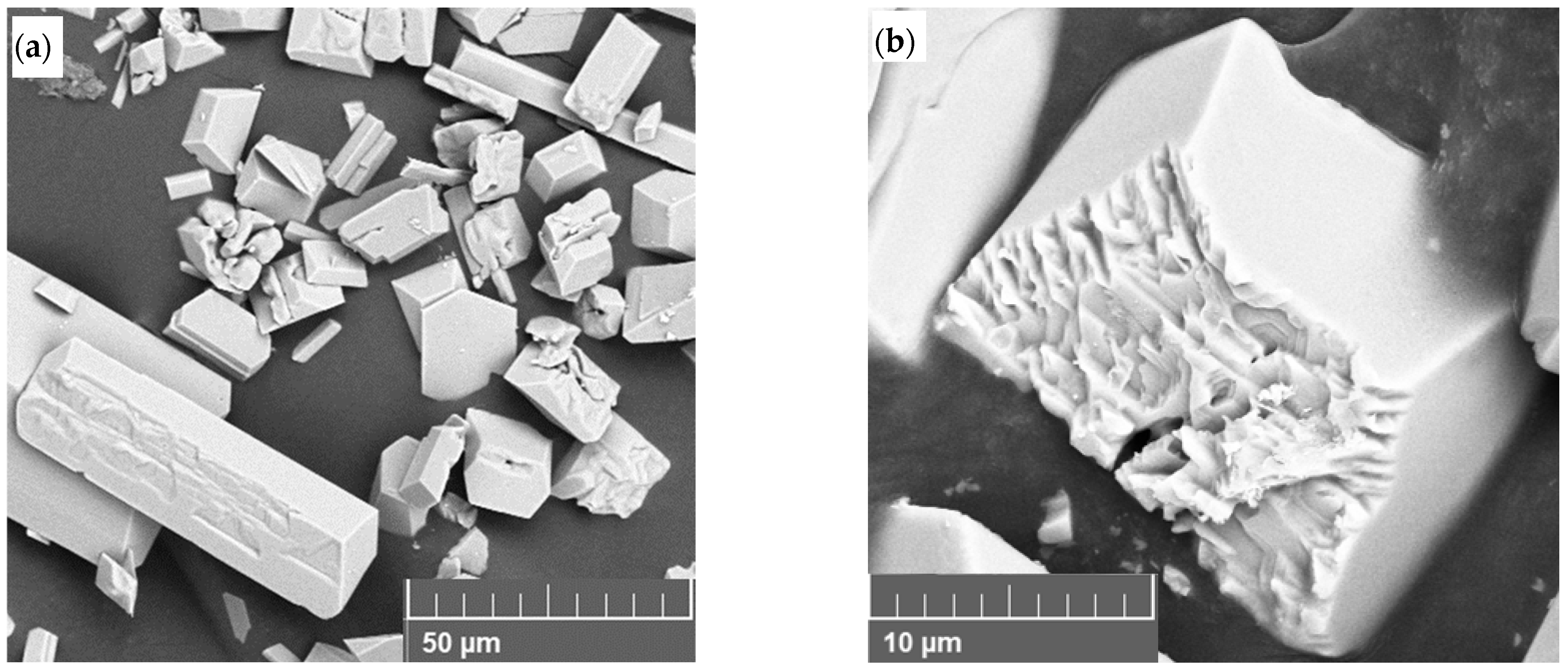 Chemengineering 10 00021 g007 Chemengineering 10 00021 g007