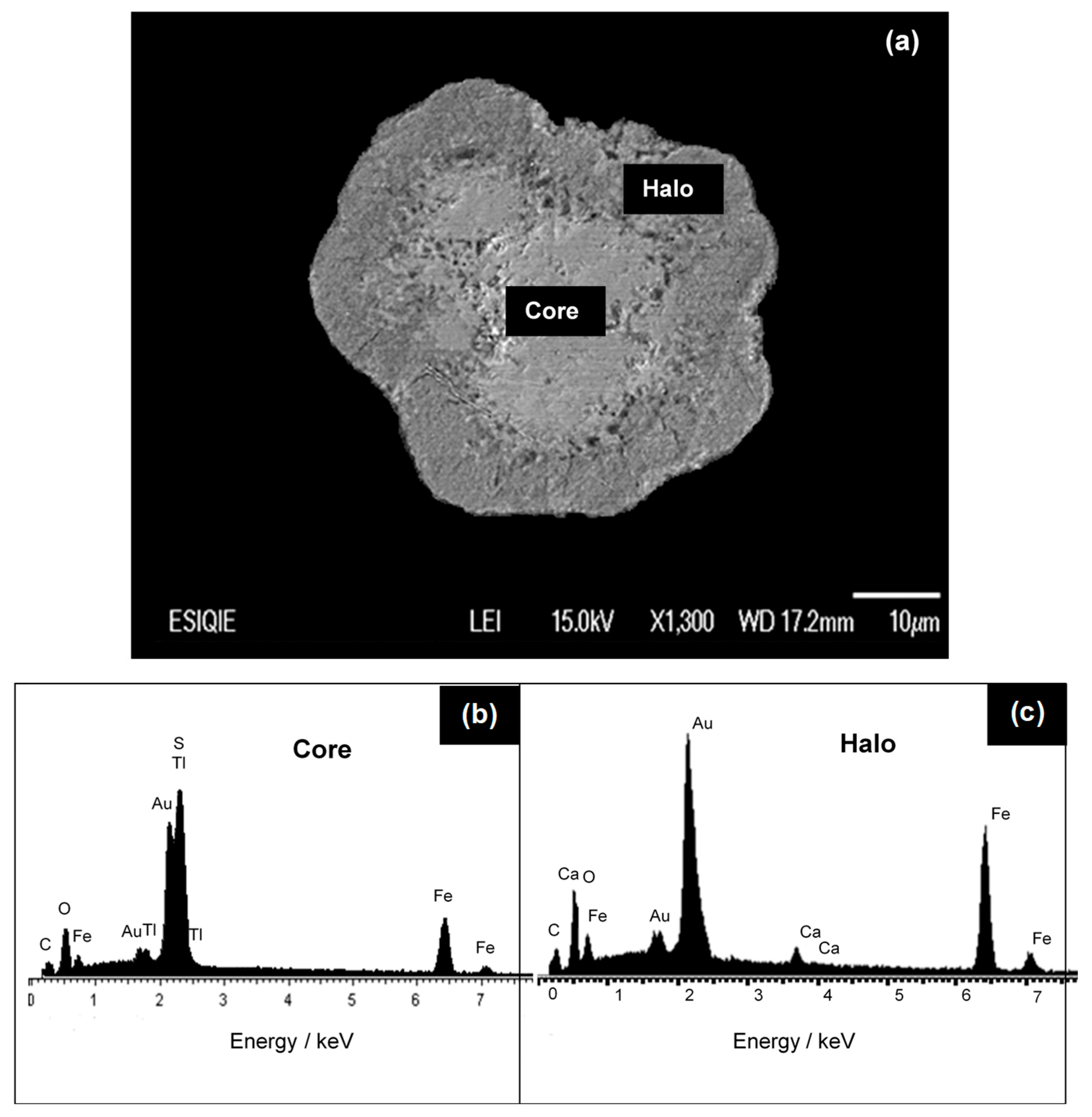 Chemengineering 10 00024 g004