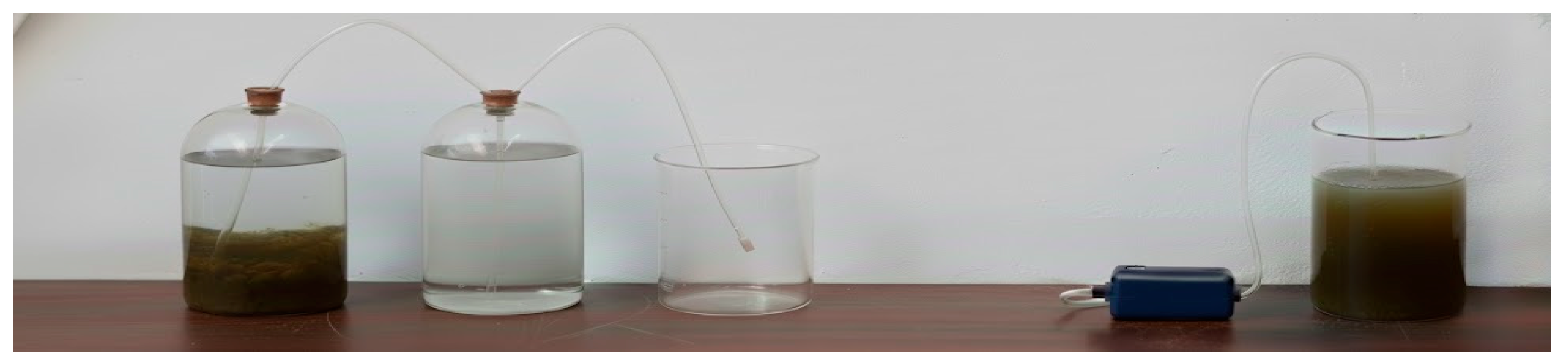 Chemengineering 10 00038 g001