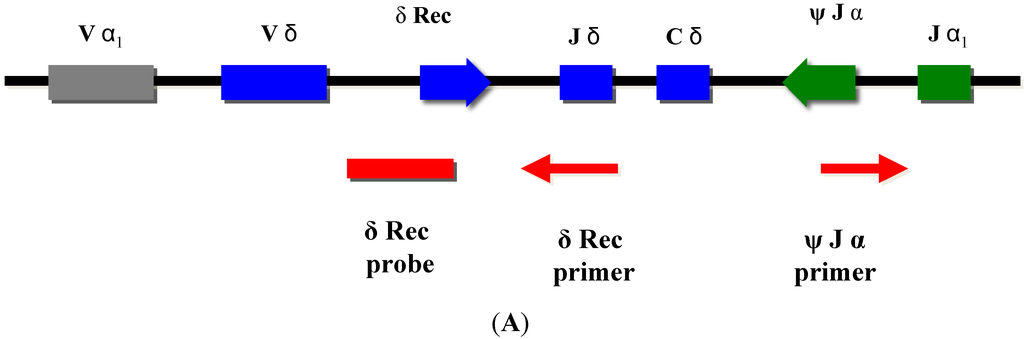 Neonatalscreening 01 00089 g002a 1024
