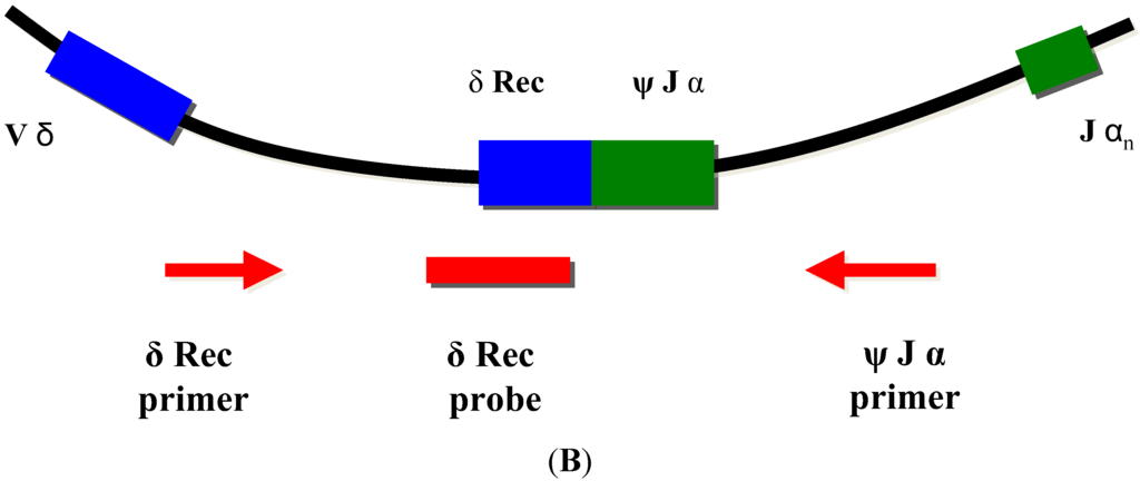 Neonatalscreening 01 00089 g002b 1024