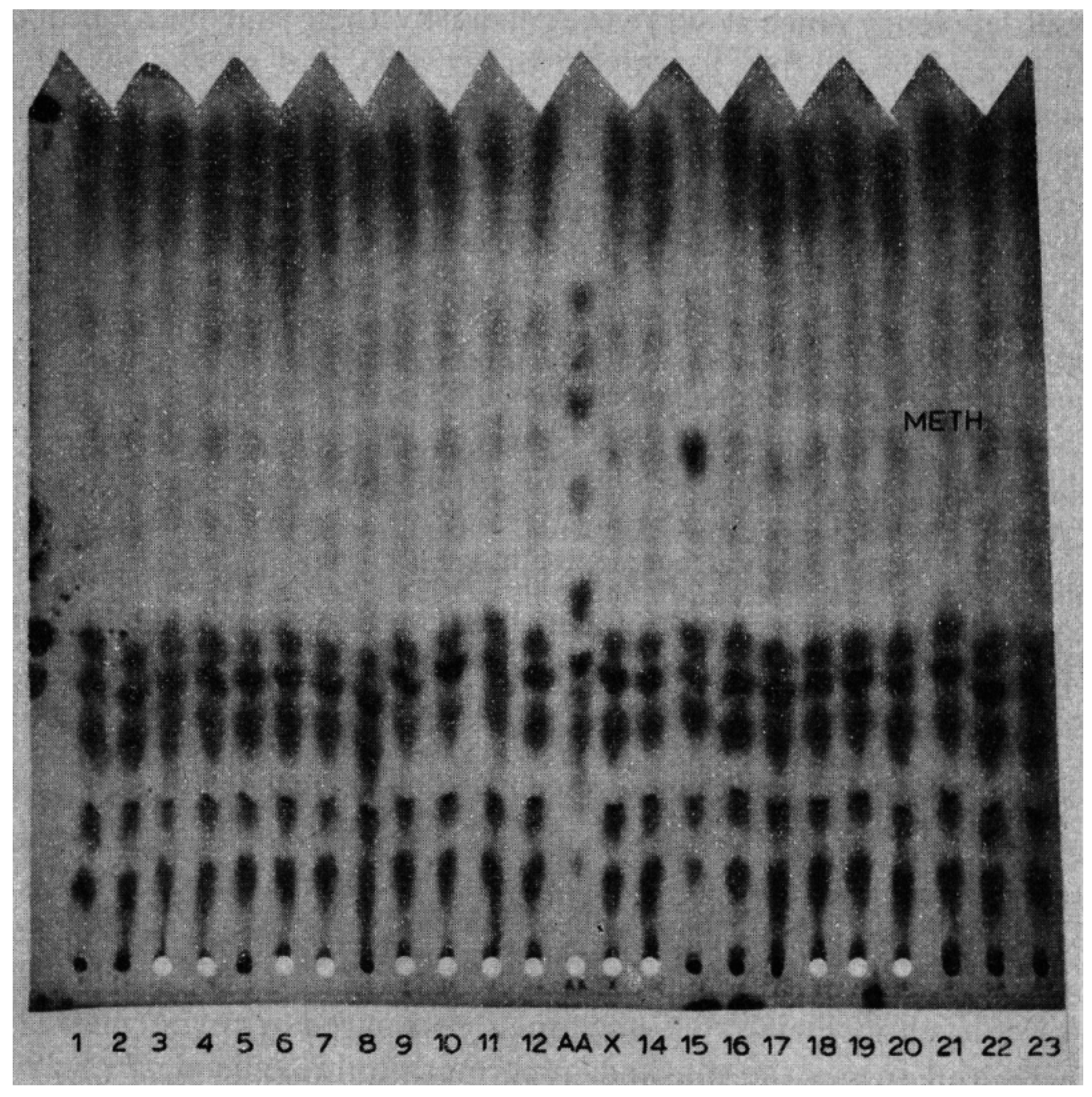 Neonatalscreening 02 00014 g001
