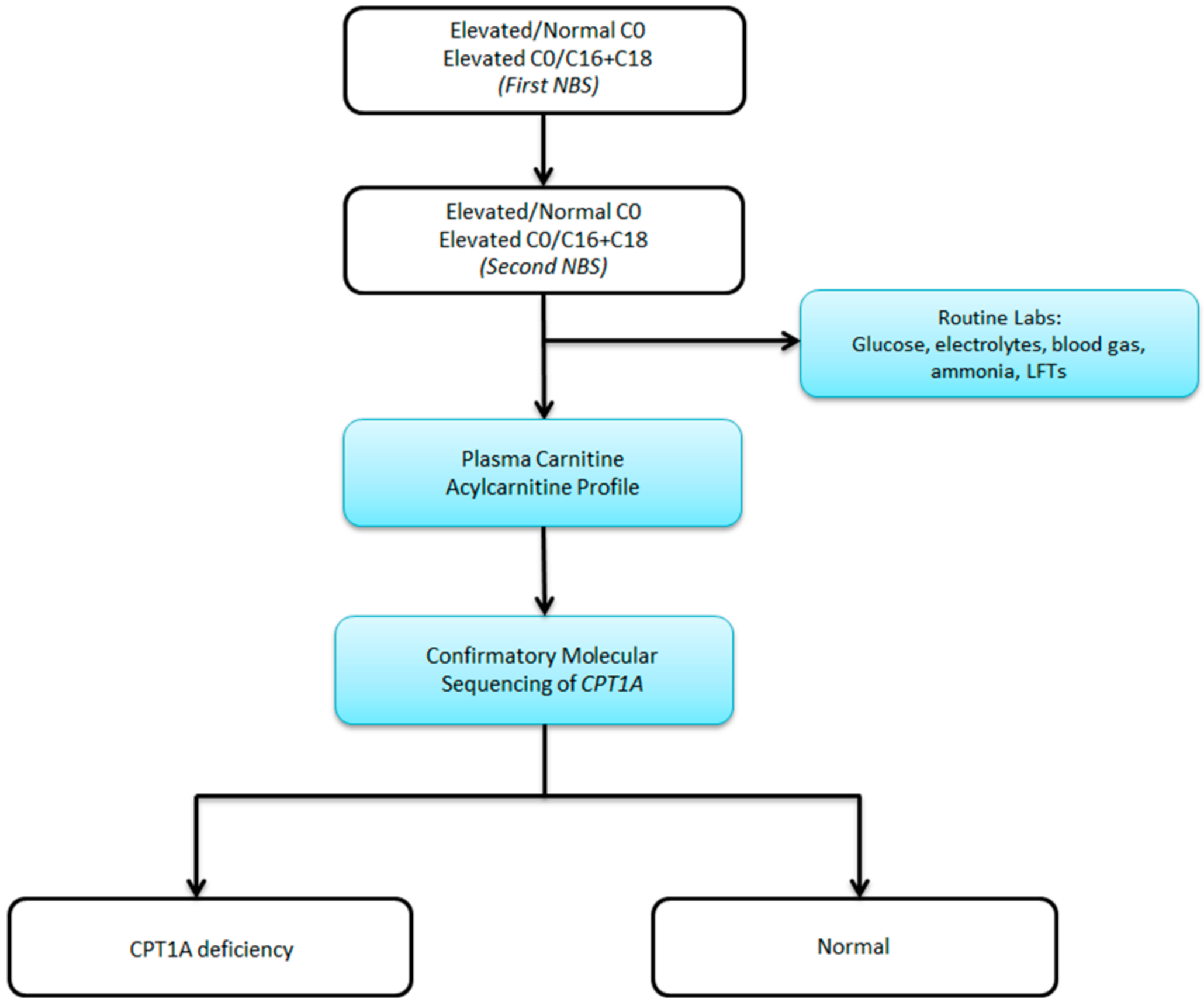 Neonatalscreening 03 00010 g002