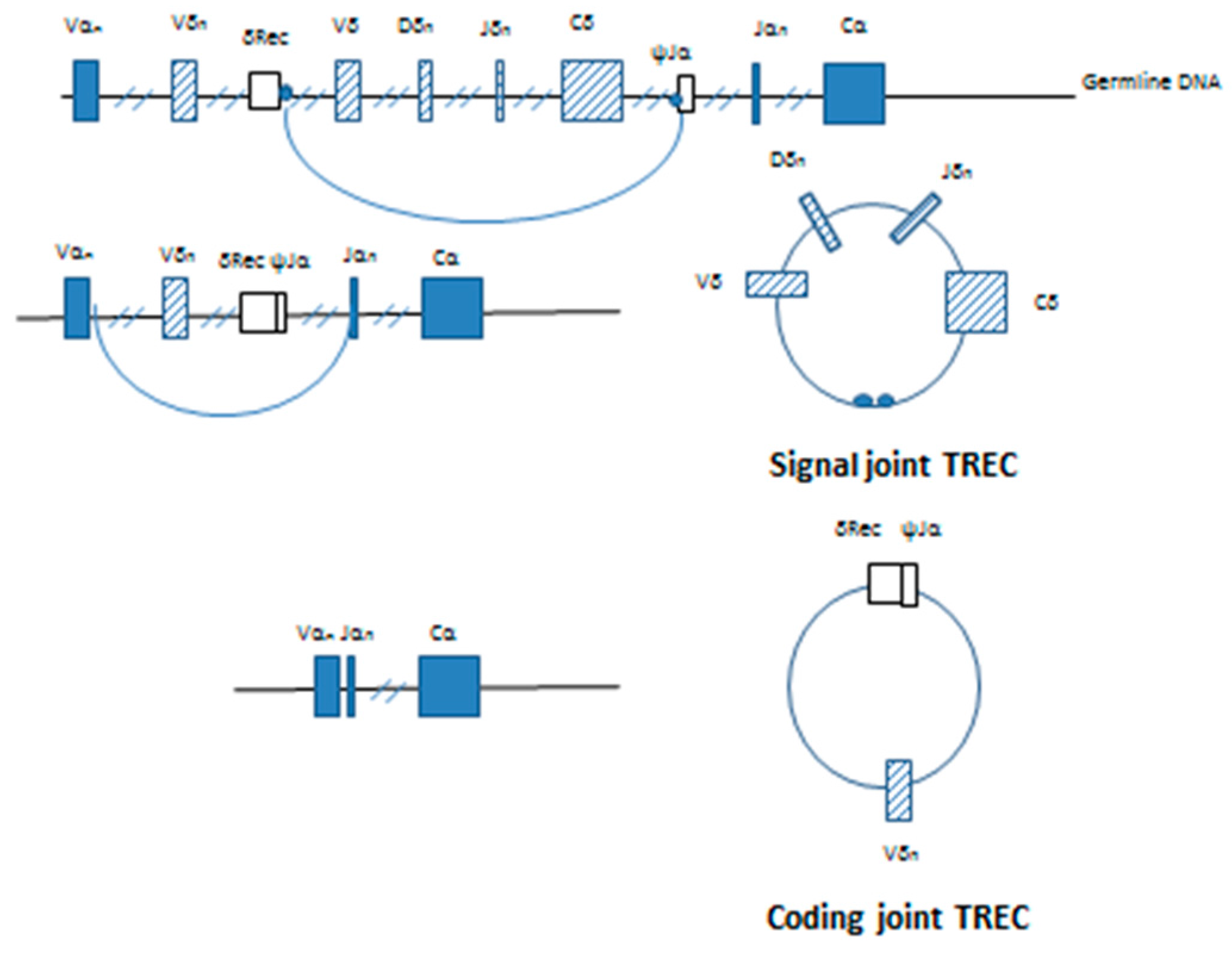 Neonatalscreening 03 00014 g002