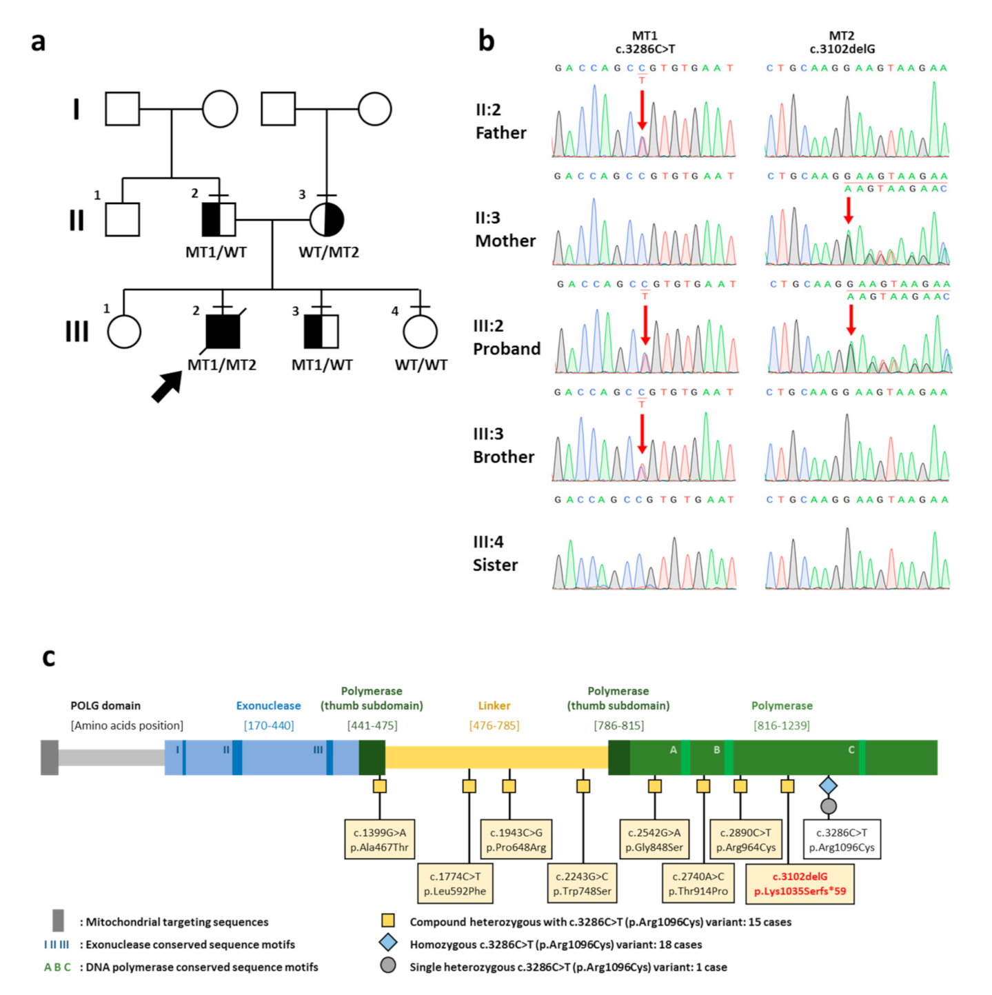 Ijns 07 00009 g001 Ijns 07 00009 g001