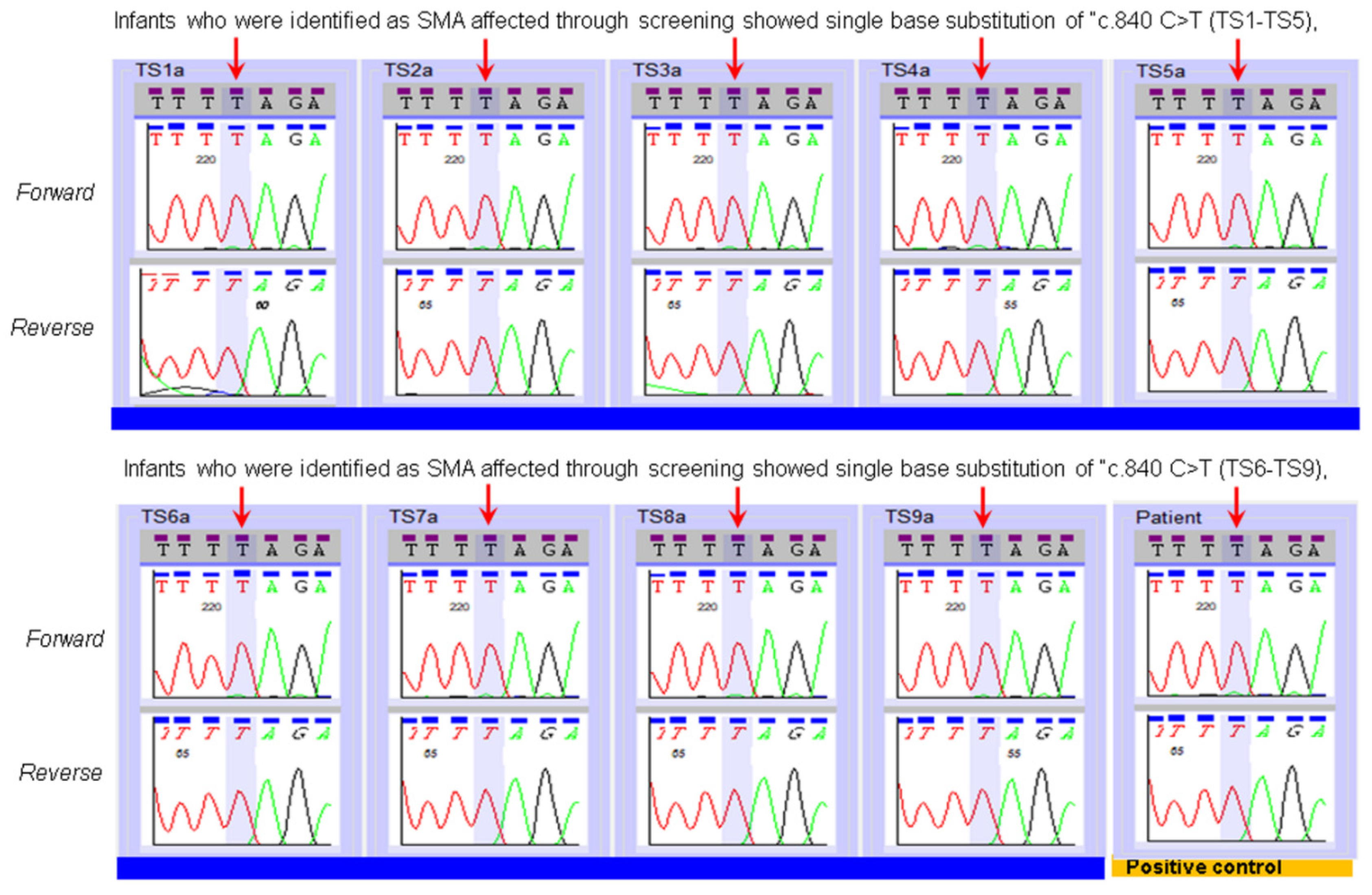Ijns 07 00047 g003