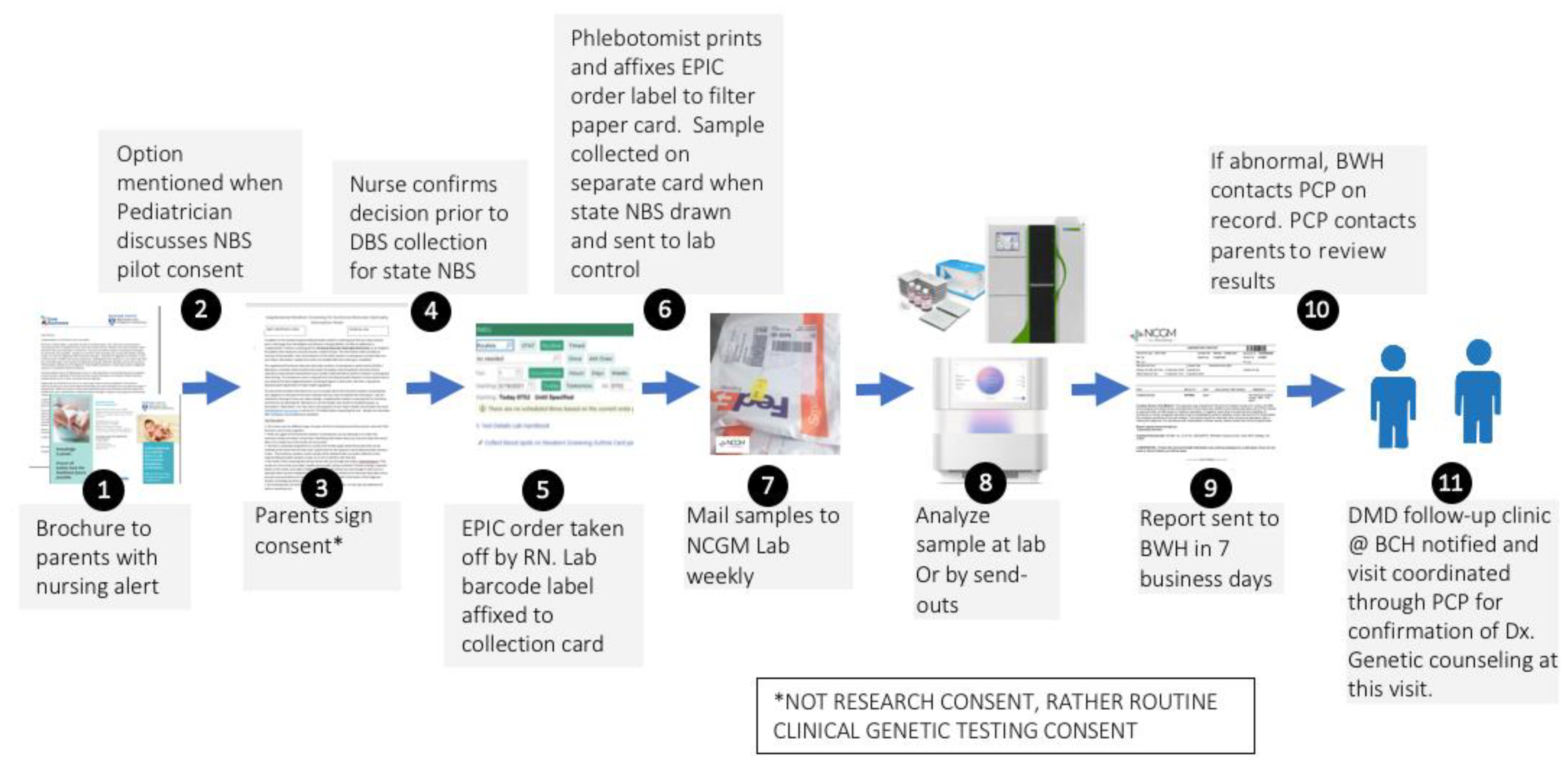 Ijns 07 00077 g001 Ijns 07 00077 g001