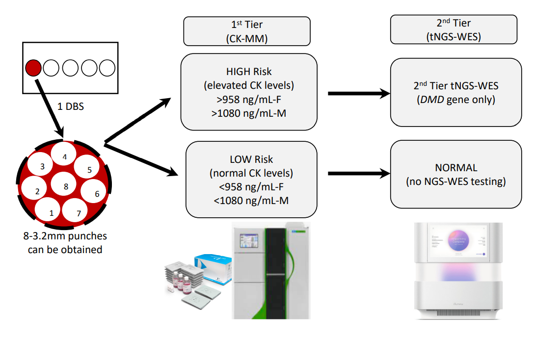 Ijns 07 00077 g002 Ijns 07 00077 g002