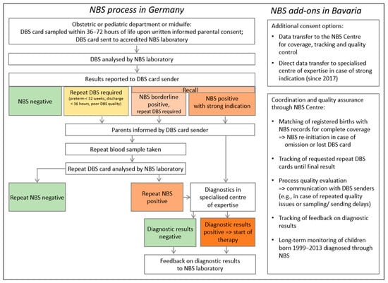 Overview of the NBS process in Germany until 2024 and the Bavarian NBS programme’s additional components. Abbreviations: DBS, dried blood spot; NBS, newborn screening.