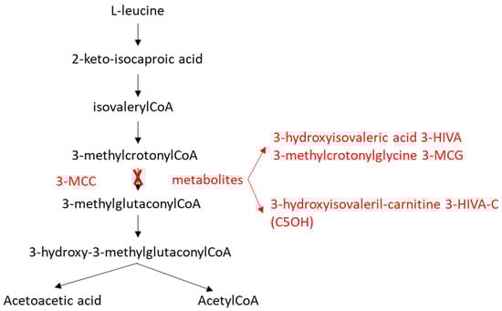 The 3-MCC-catalyzed reaction in the leucine catabolic pathway.
