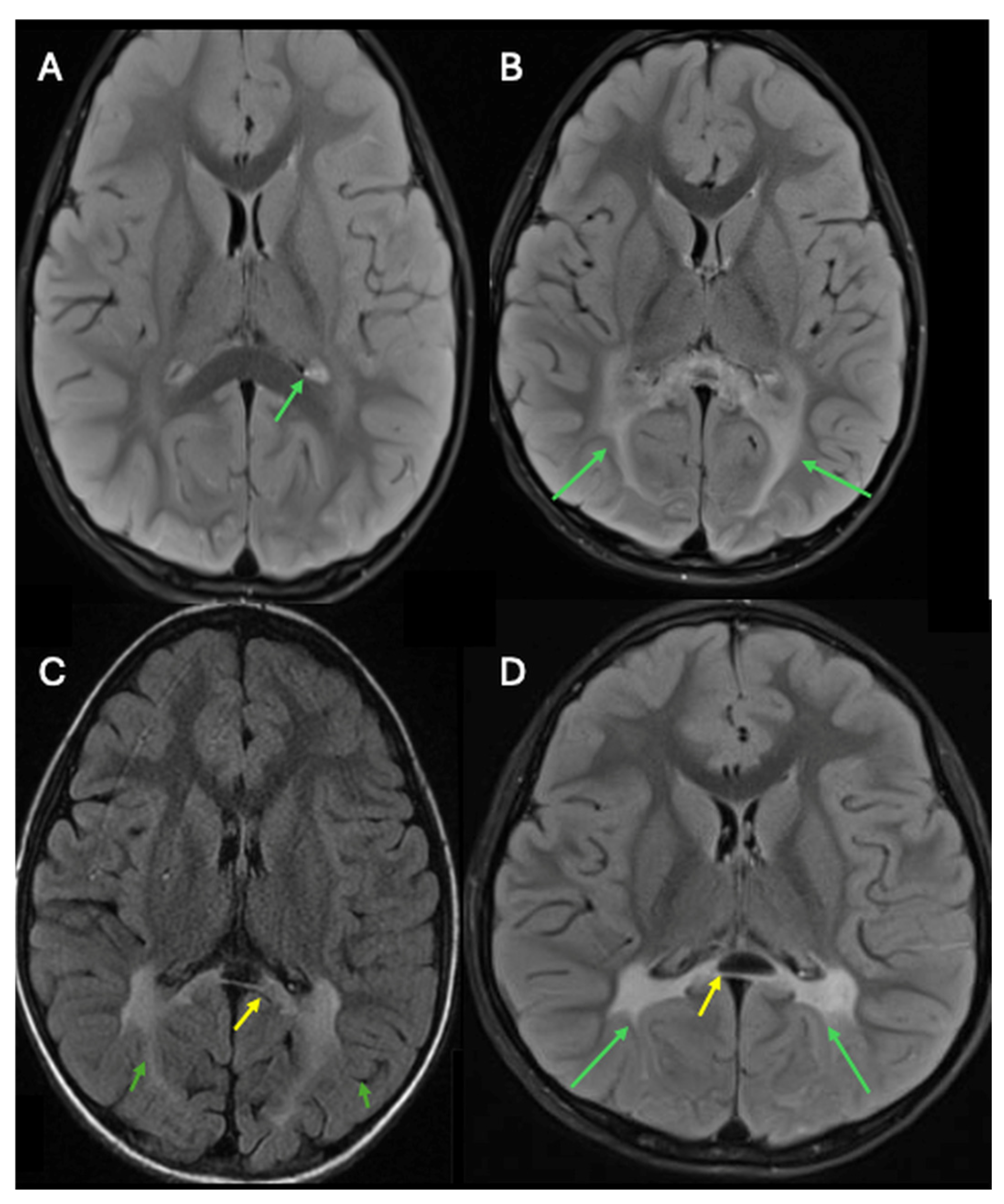 Ijns 12 00059 g002 Ijns 12 00059 g002