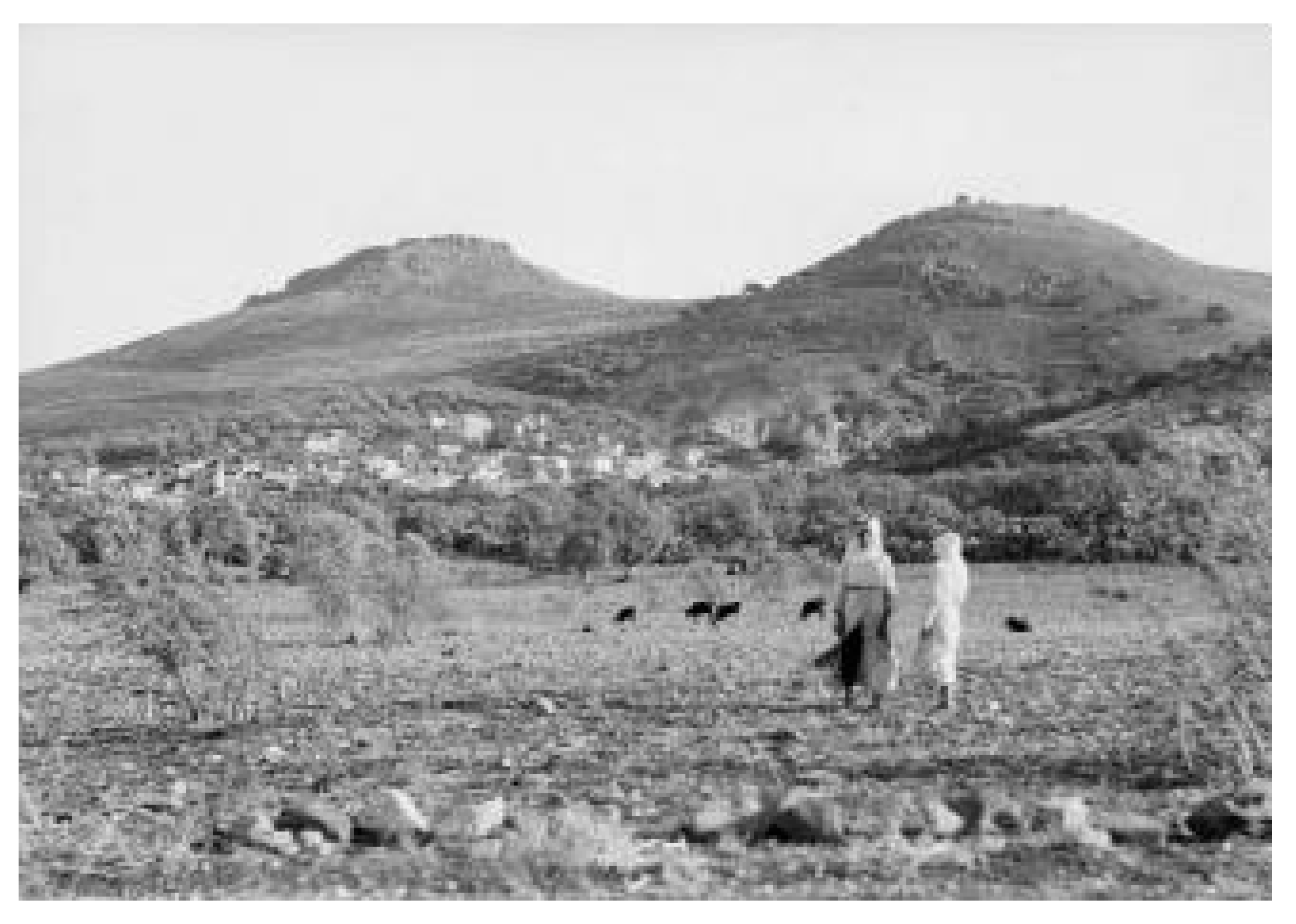 J 03 00010 g003 J 03 00010 g003