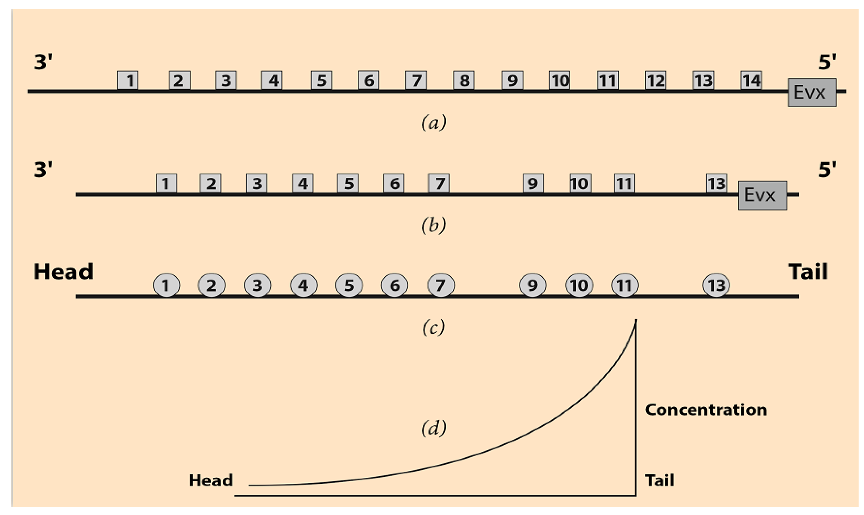 J 03 00013 g001 J 03 00013 g001