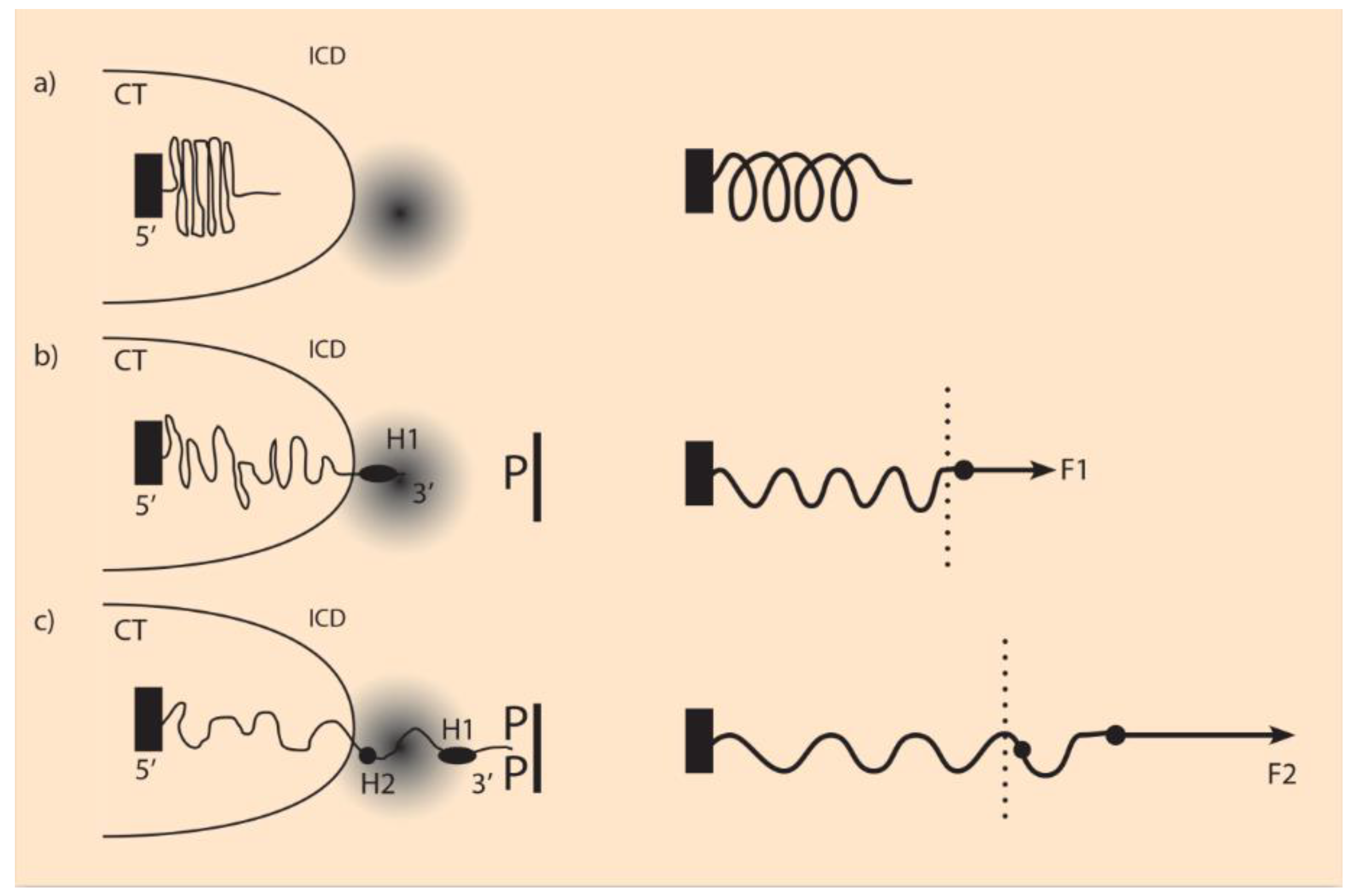 J 03 00013 g002 J 03 00013 g002