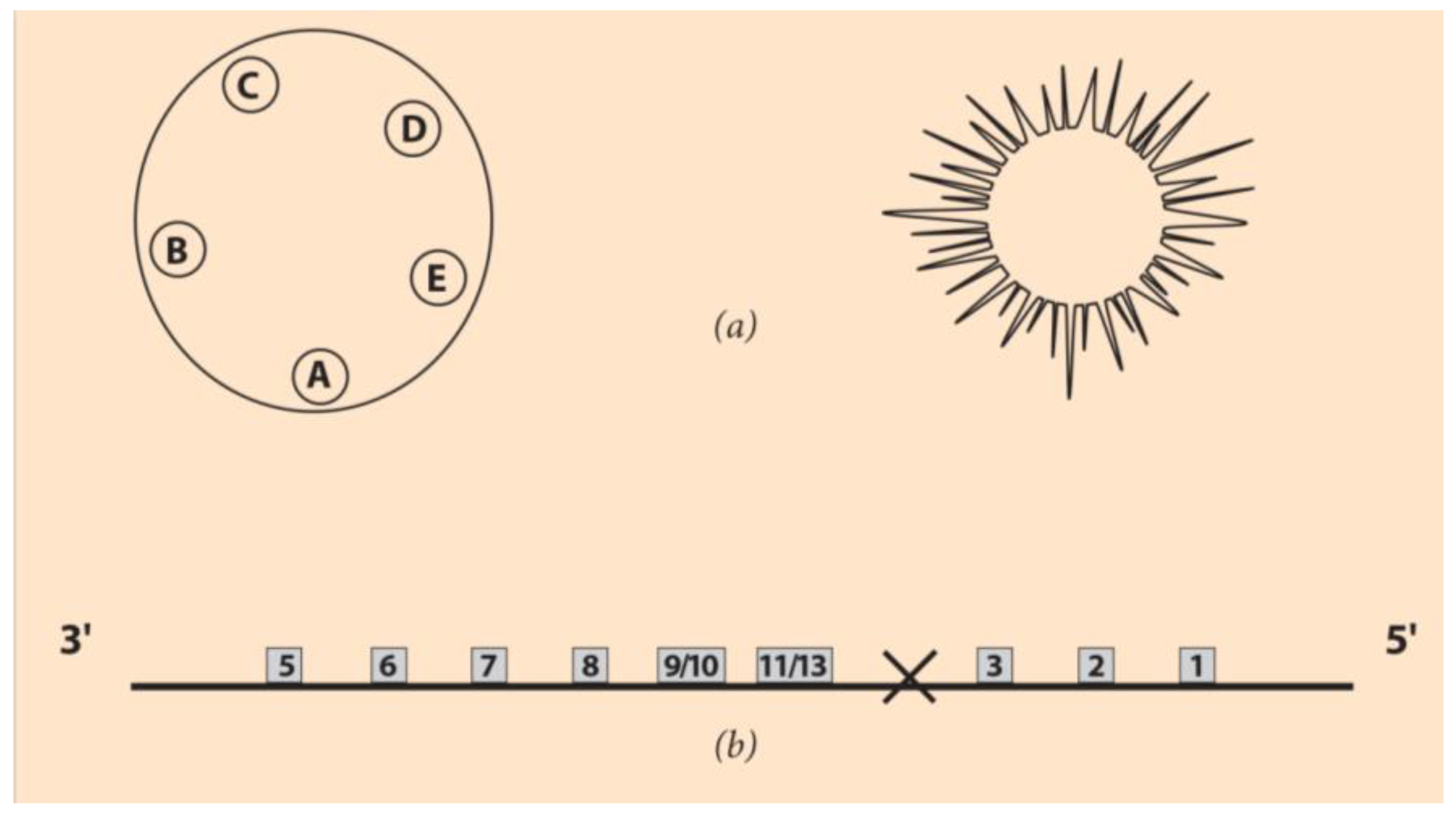 J 03 00013 g003 J 03 00013 g003