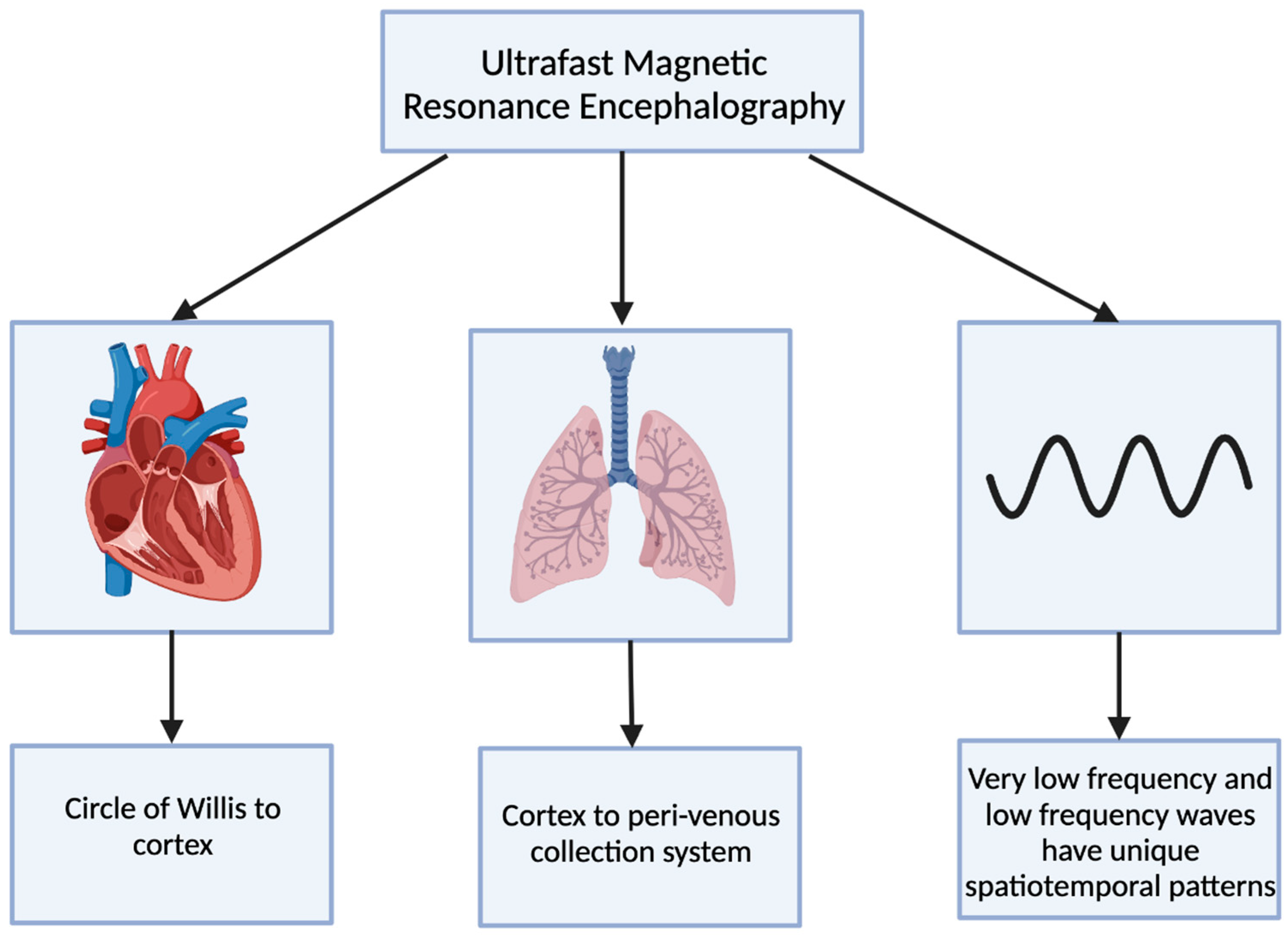 J 06 00031 g004 J 06 00031 g004