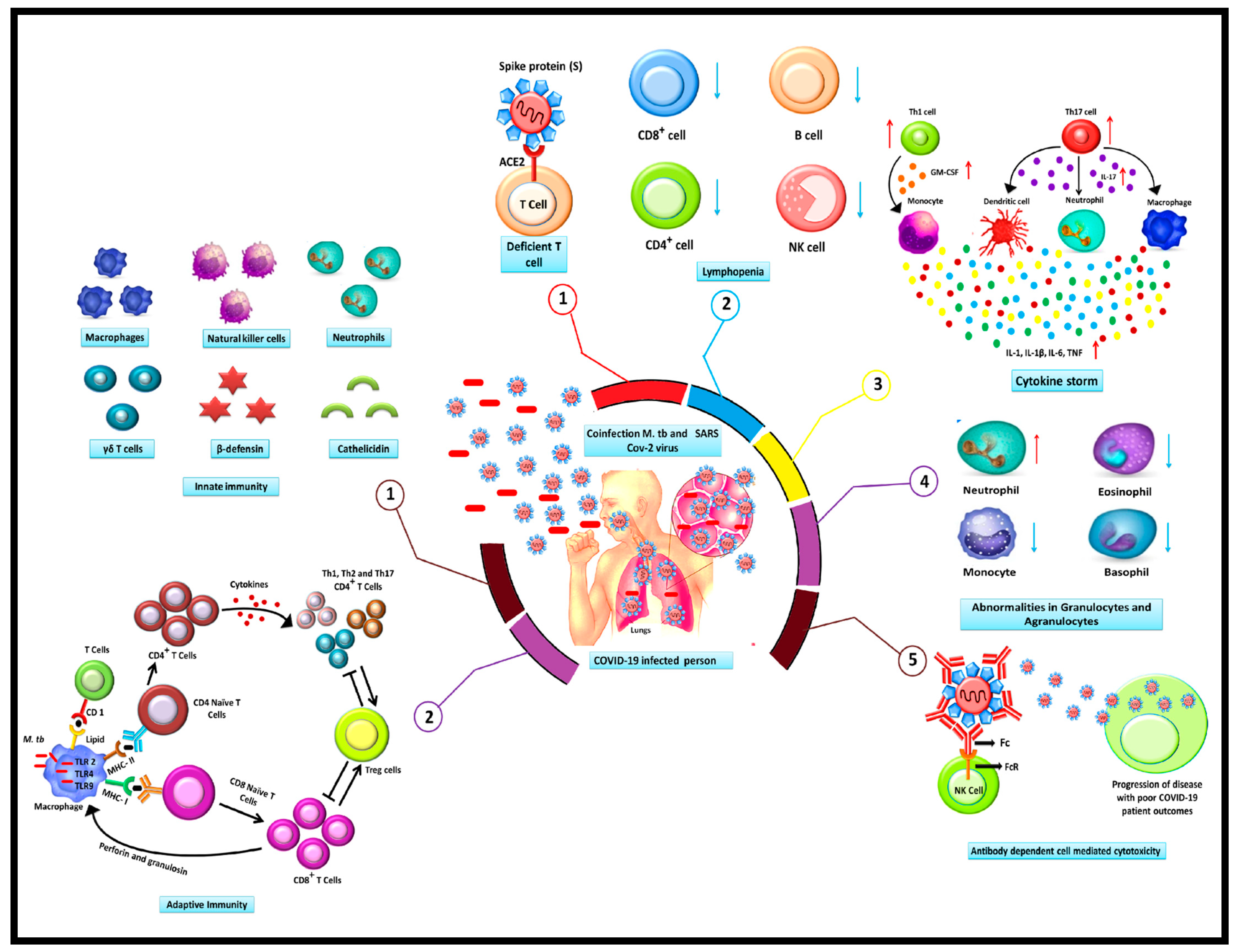 J 08 00041 g001 J 08 00041 g001