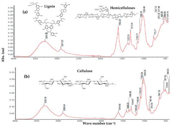 FTIR spectra: (a) Williams pseudostem, show signals characteristic of hemicelluloses and lignin, respectively; (b) extracted cellulose by Williams pseudostem, showed the characteristic signals of cellulose structure, showed the signals absent due to removal of the lignin and hemicelluloses.