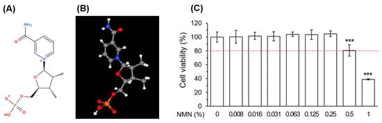 Structural characterization and cytotoxicity evaluation of NMN in B16F10 melanoma cells. (A) Two-dimensional (2D) chemical structure of NMN. (B) Three-dimensional (3D) structural representation of NMN. (C) Cell viability of B16F10 melanoma cells following treatment with various concentrations of NMN, as determined by MTT assay. Data are presented as the mean ± SD of three independent experiments. *** p < 0.001 compared with the untreated group.