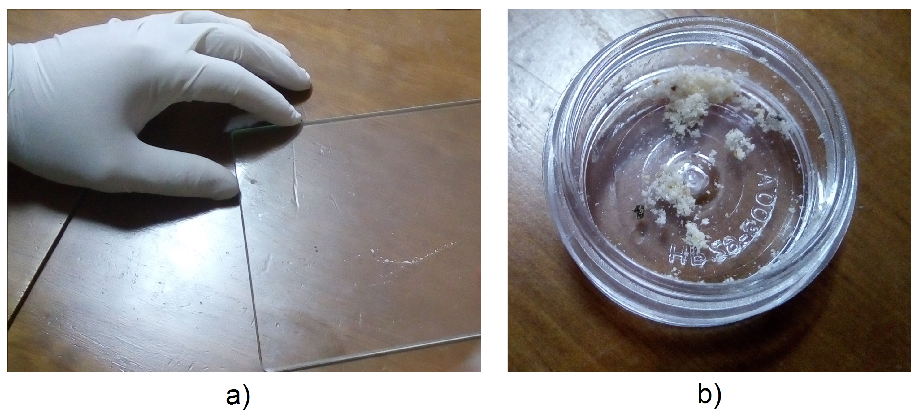 Joitmc 05 00071 g005 Joitmc 05 00071 g005