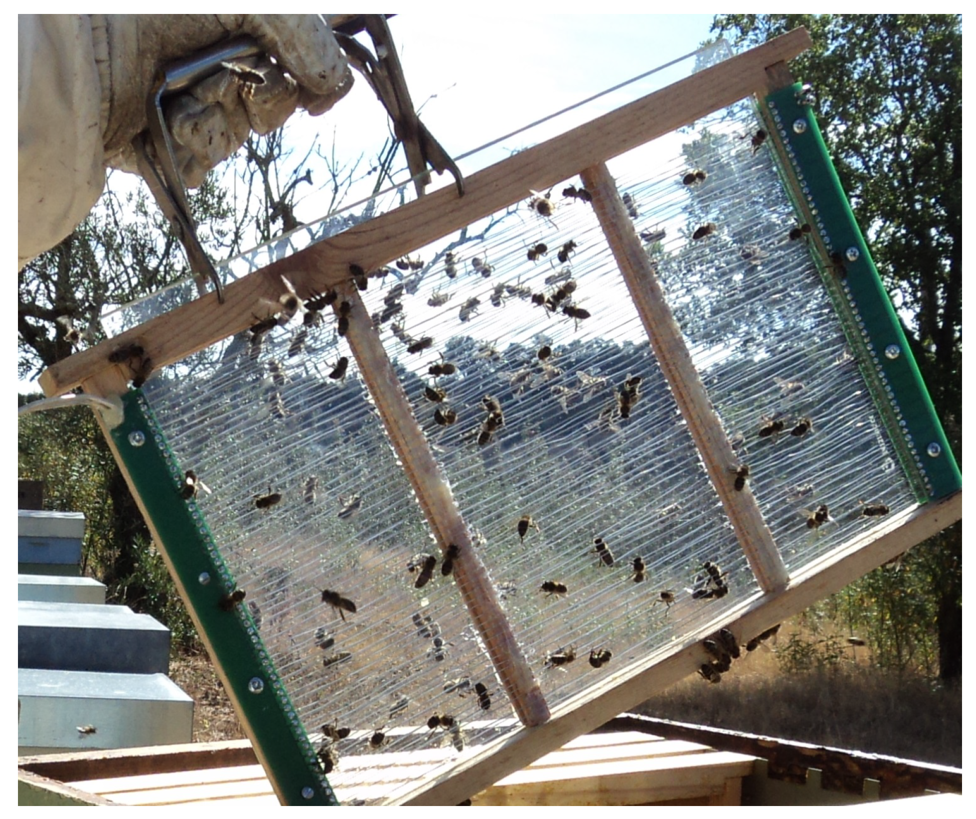 Joitmc 05 00071 g006 Joitmc 05 00071 g006