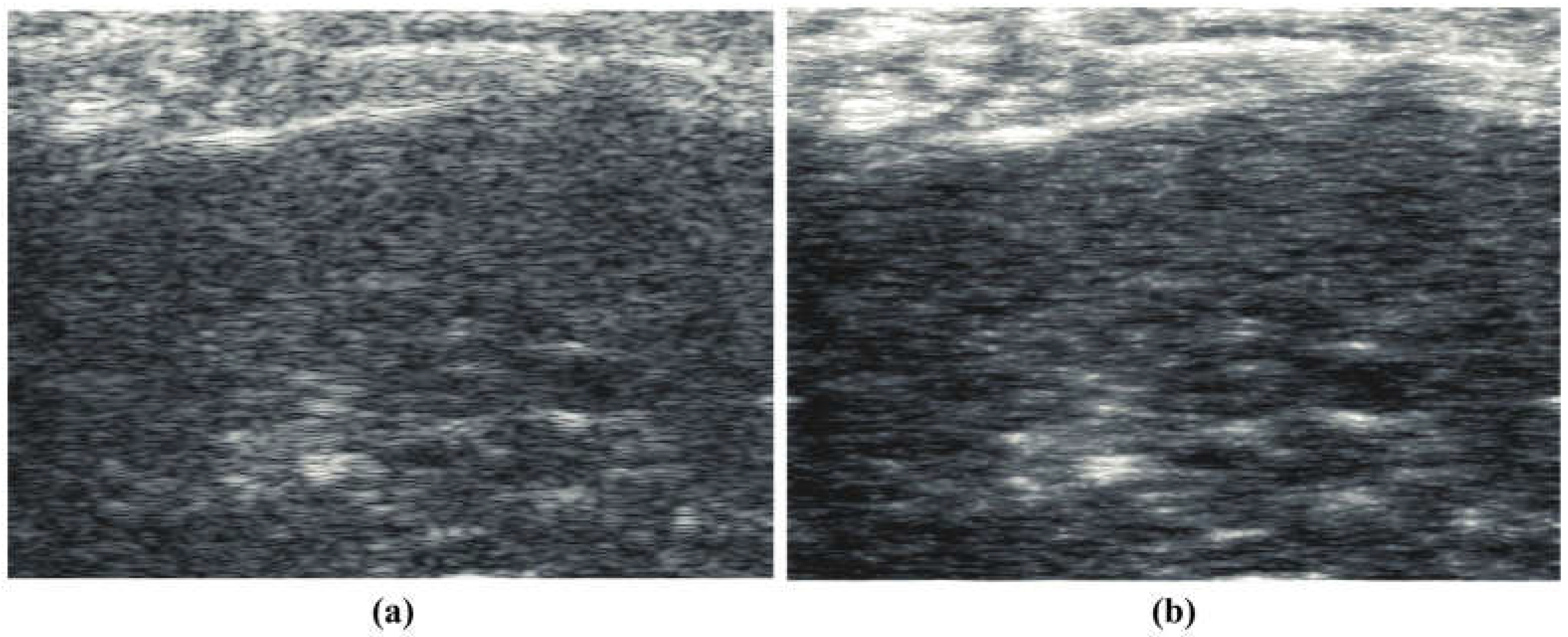 Acoustics 06 00043 g001