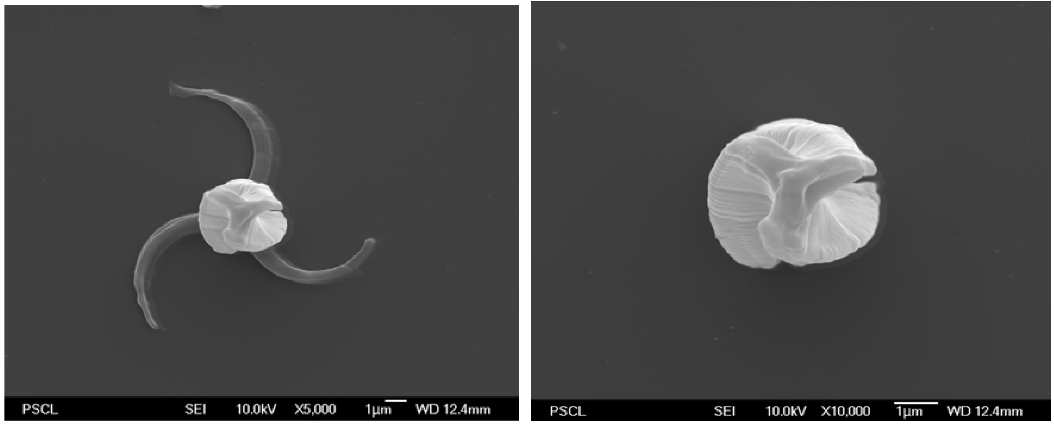 Actuators 02 00019 g003