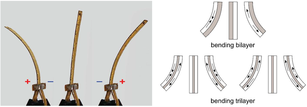 Actuators 04 00017 g001 1024