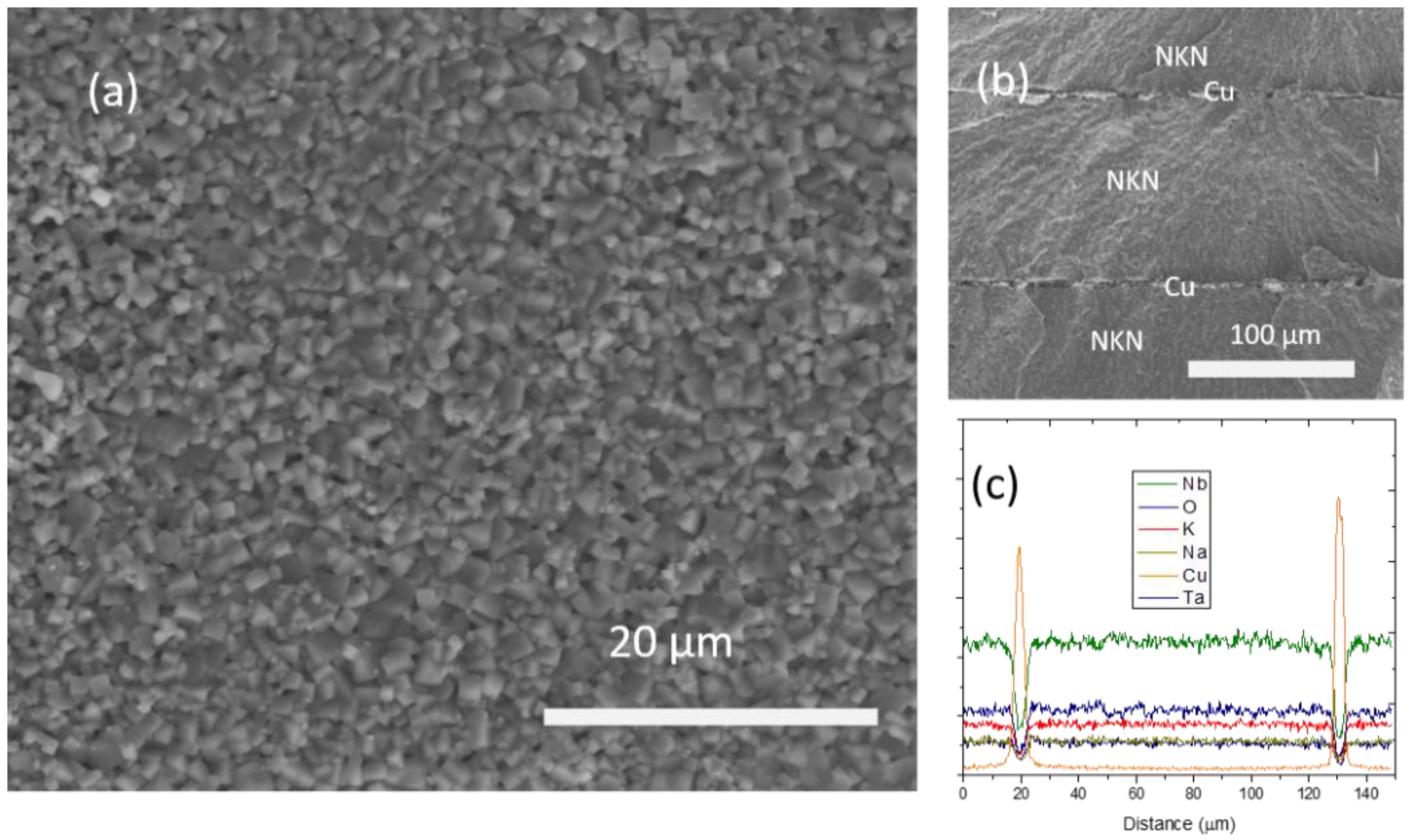 Actuators 05 00008 g010