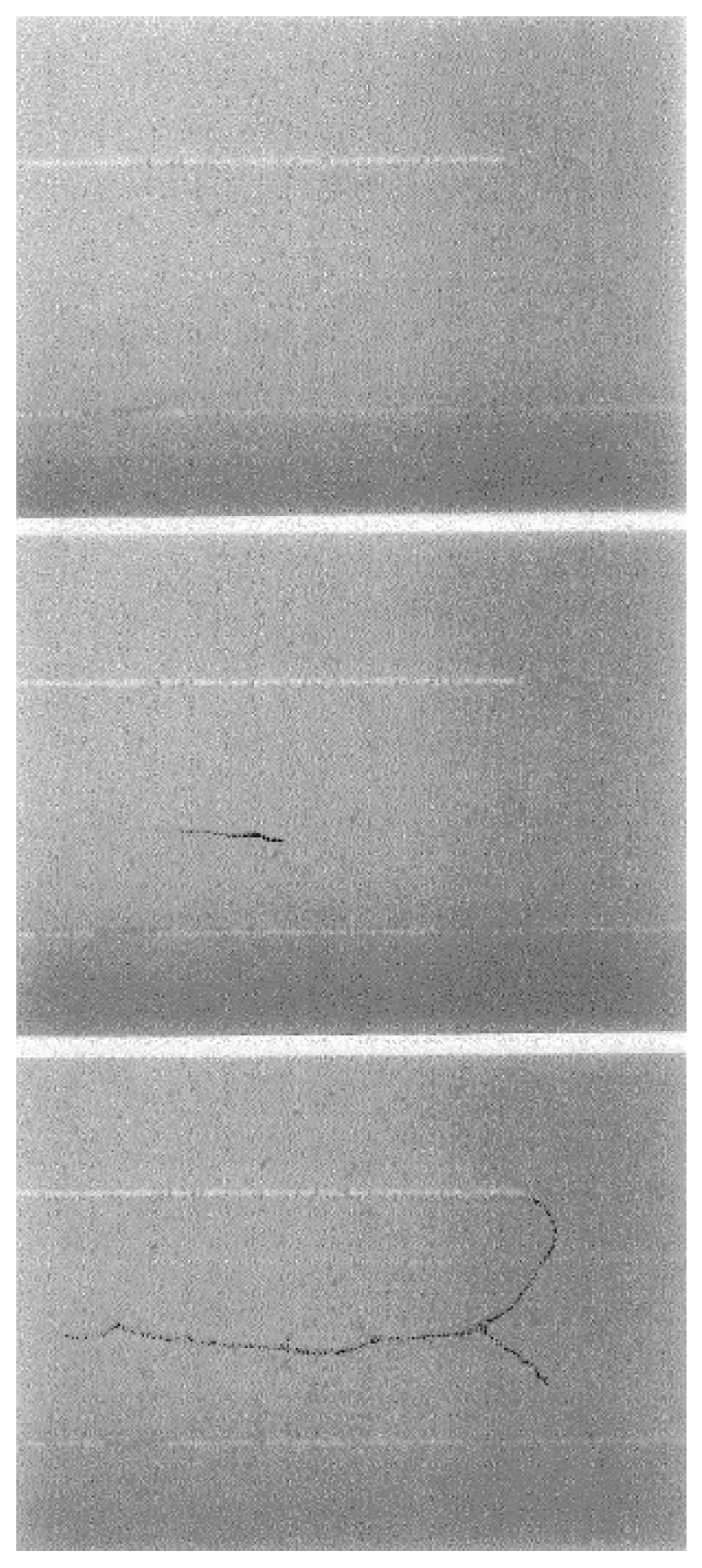 Actuators 05 00011 g016