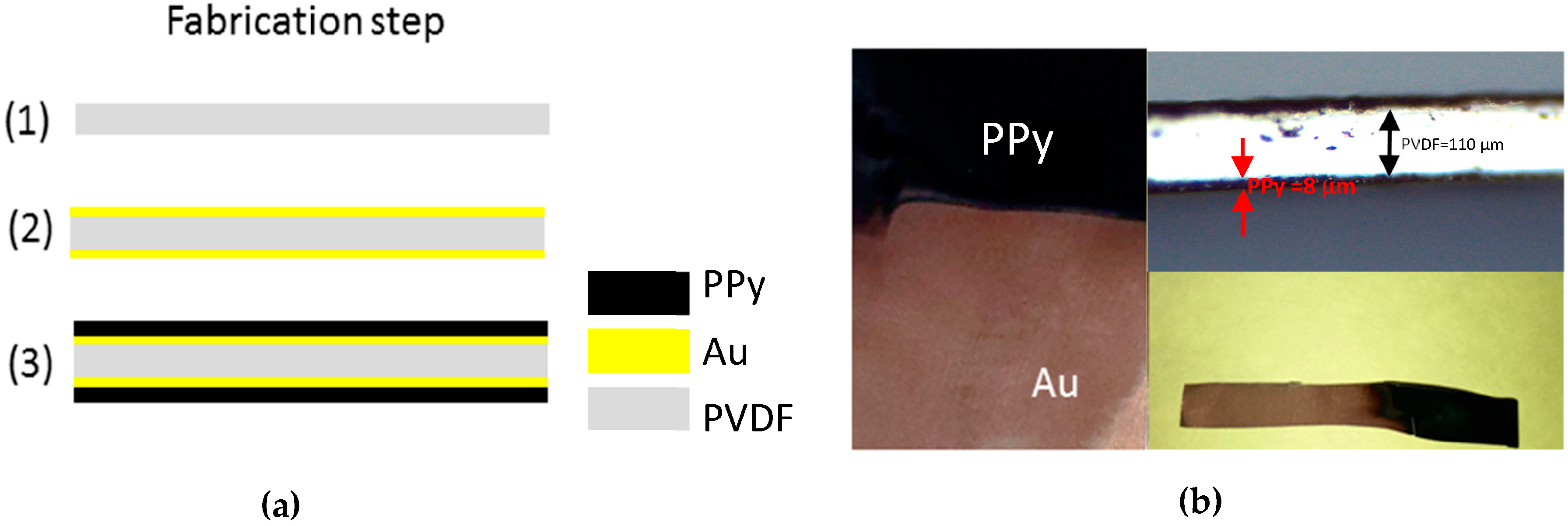 Actuators 06 00017 g002