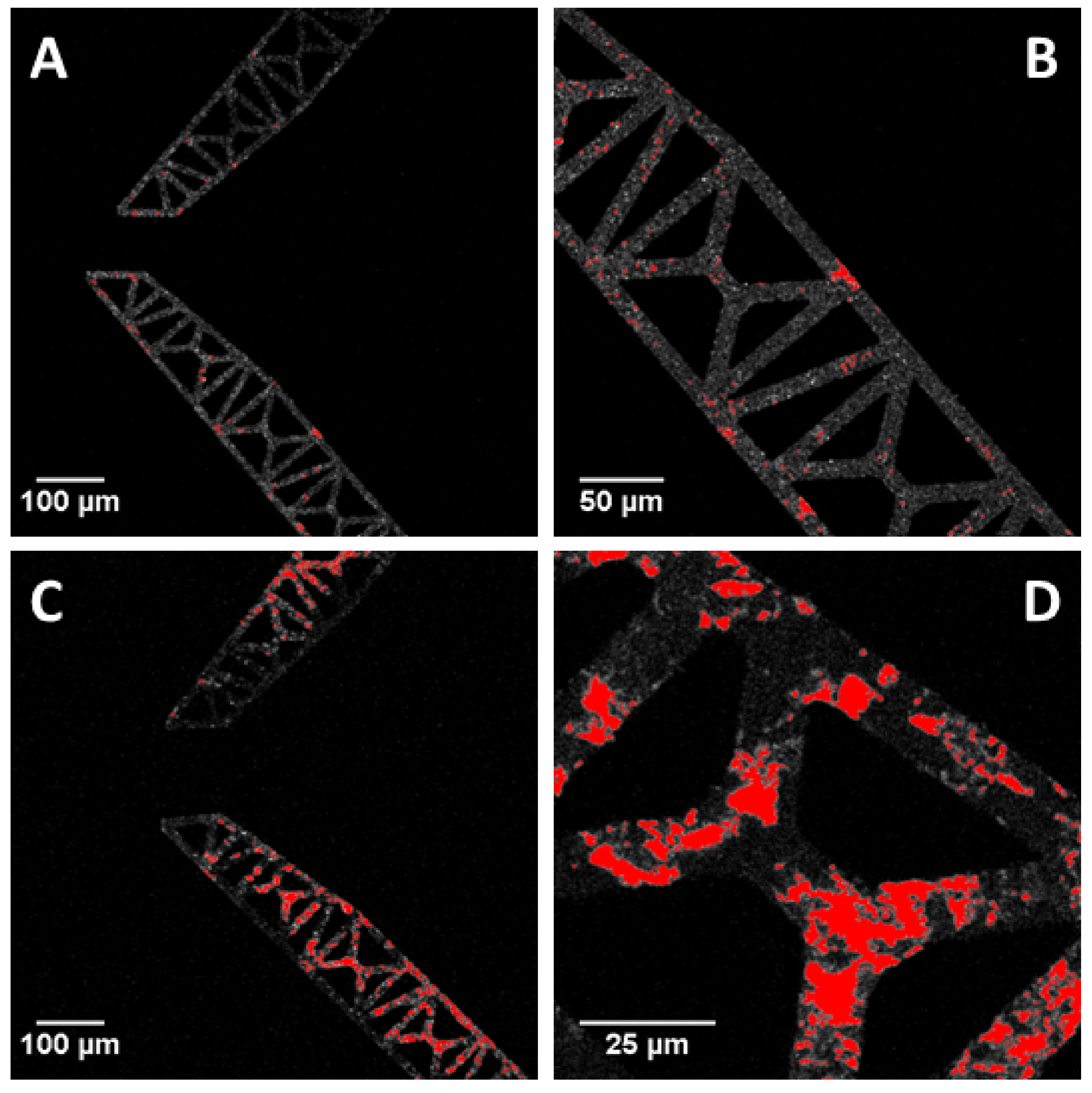 Actuators 07 00012 g011