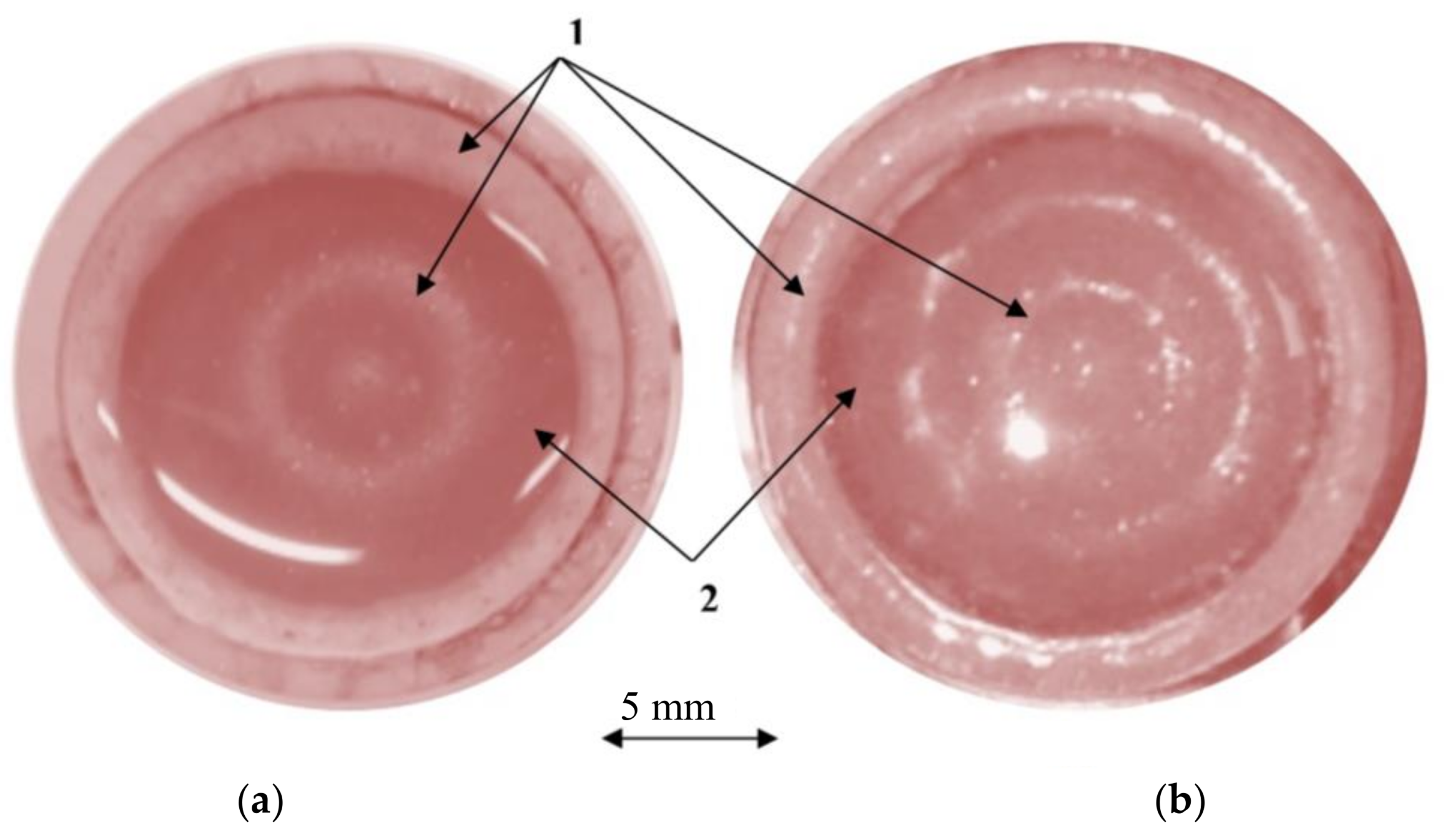 Actuators 07 00014 g008