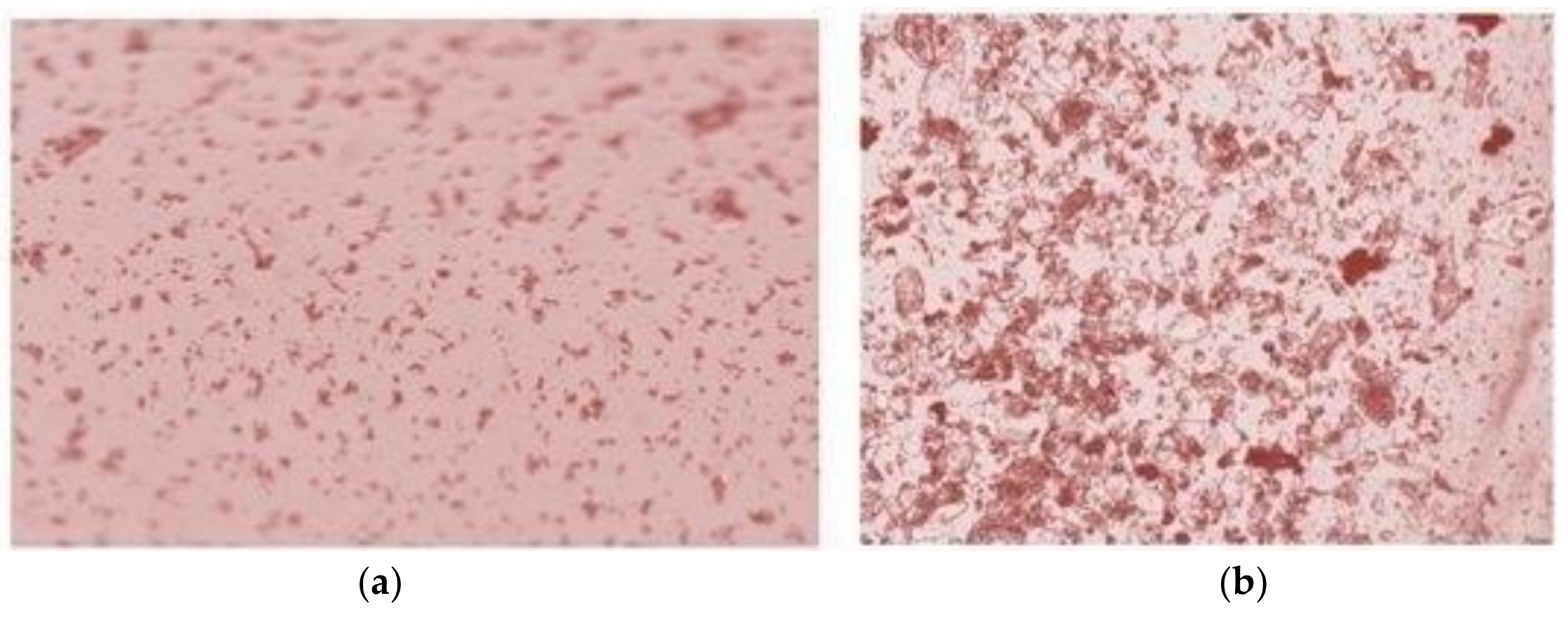 Actuators 07 00014 g010