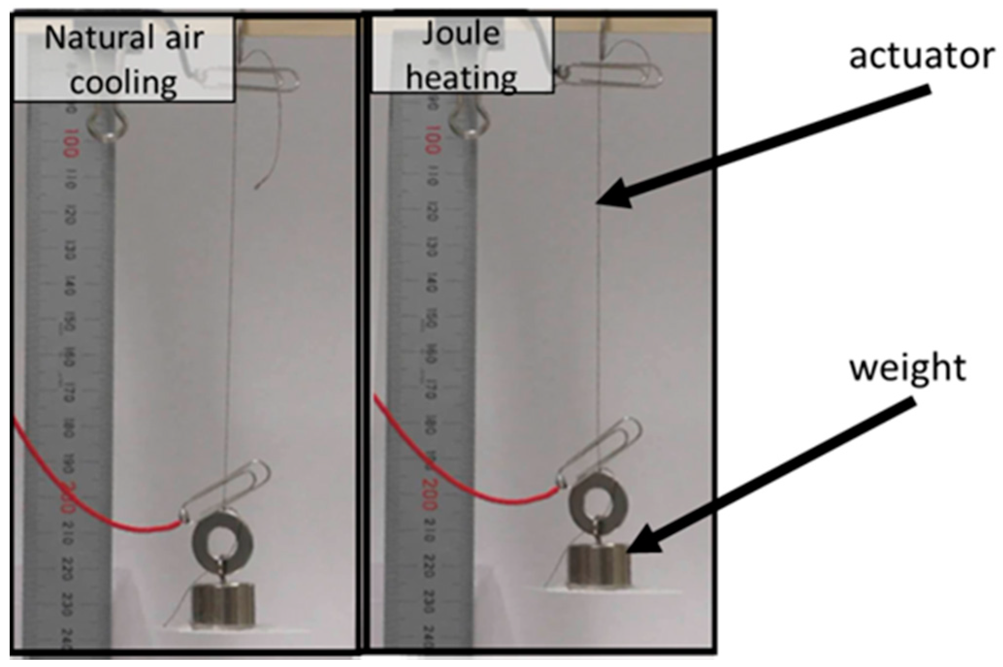 Actuators 07 00033 g003