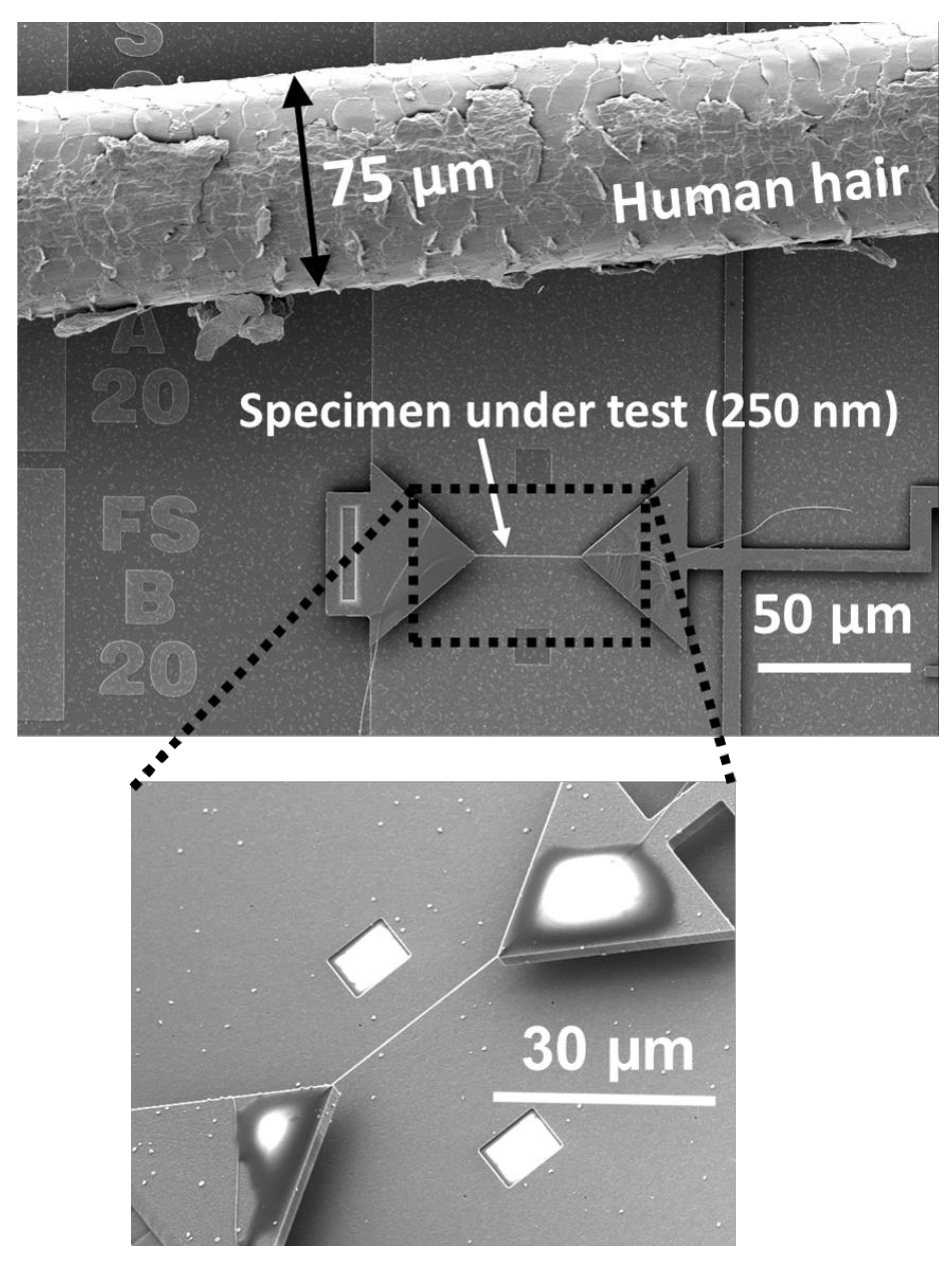 Actuators 07 00071 g008