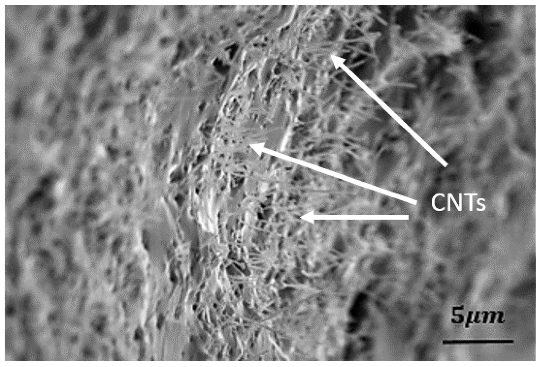 Actuators 07 00073 g004