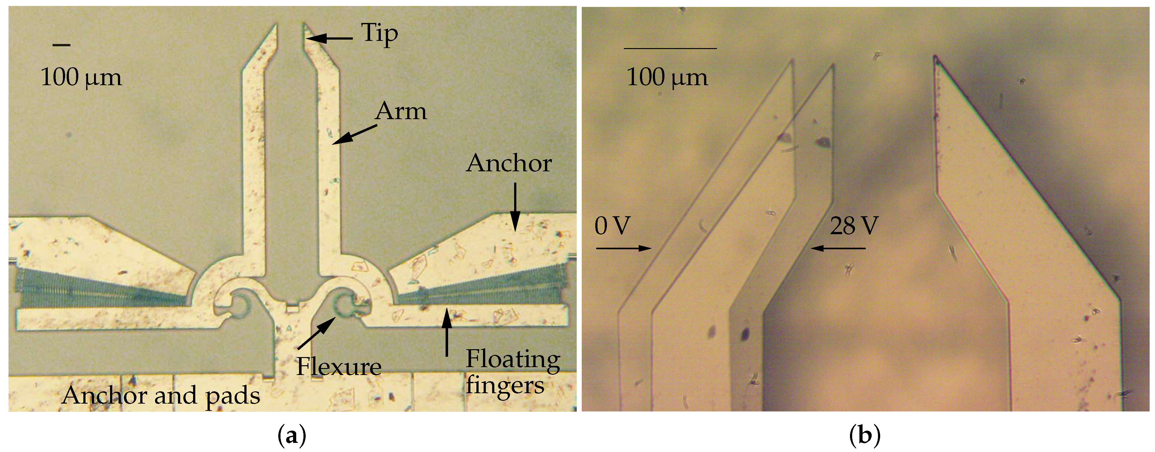 Actuators 07 00074 g001