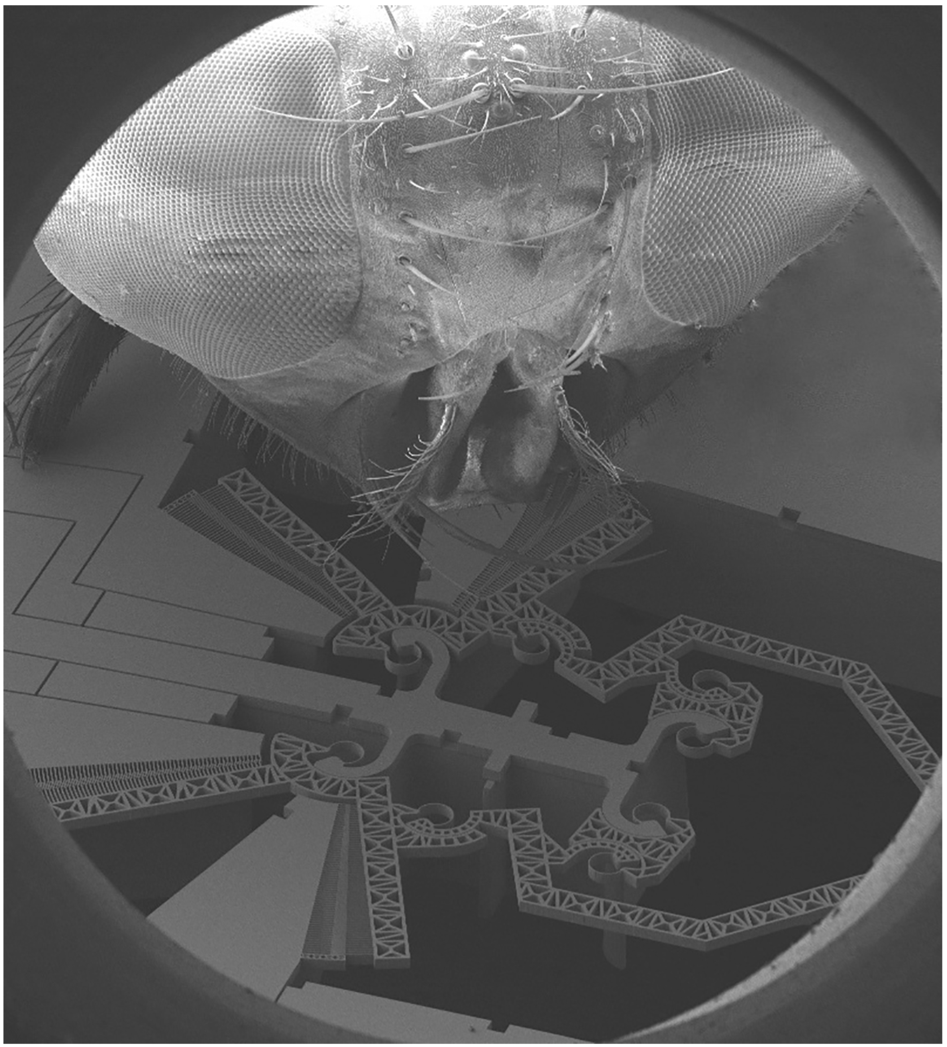 Actuators 07 00085 g002