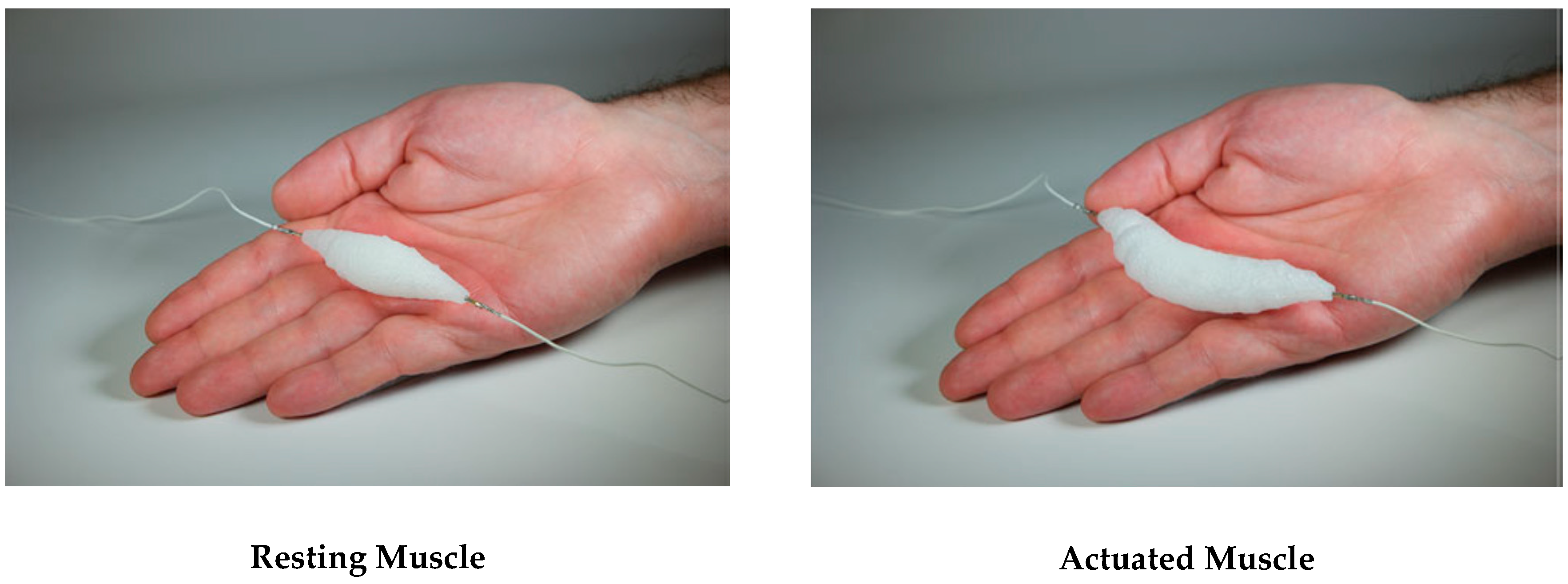 Actuators 08 00009 g002