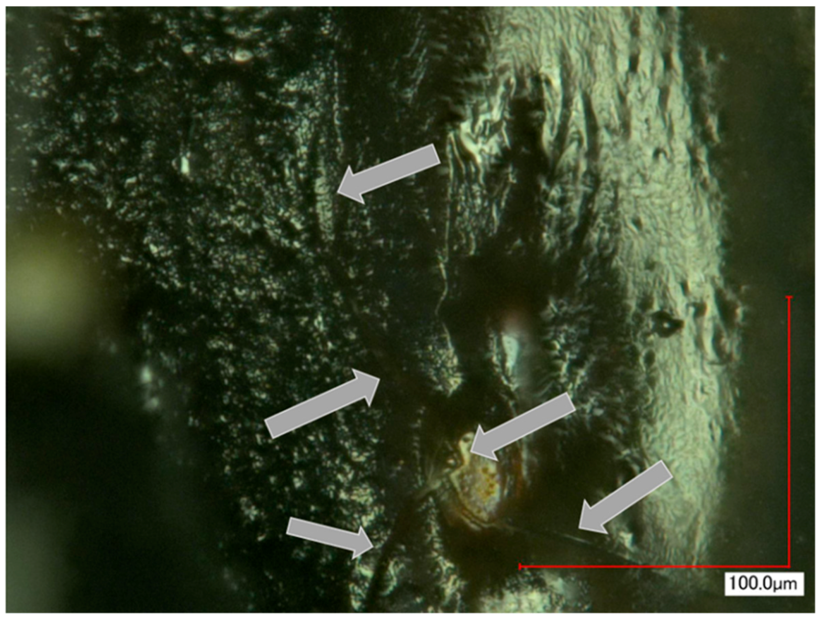 Actuators 08 00021 g015