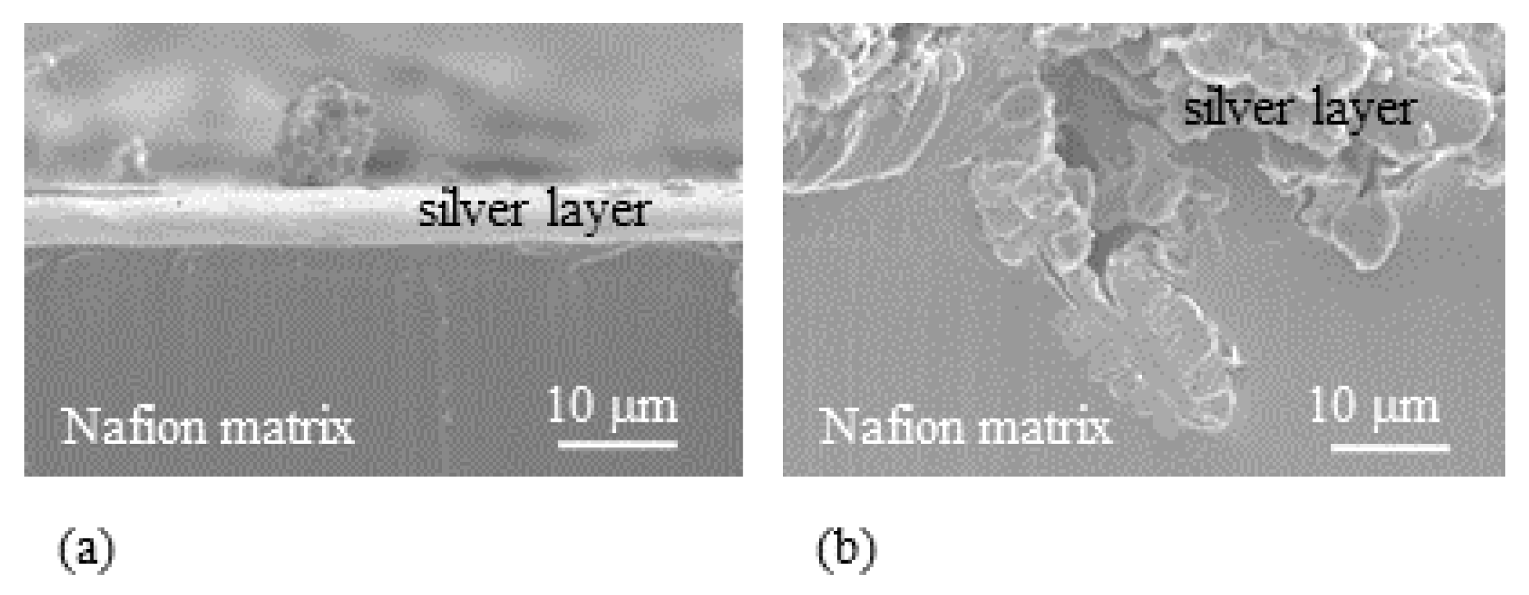 Actuators 08 00029 g010