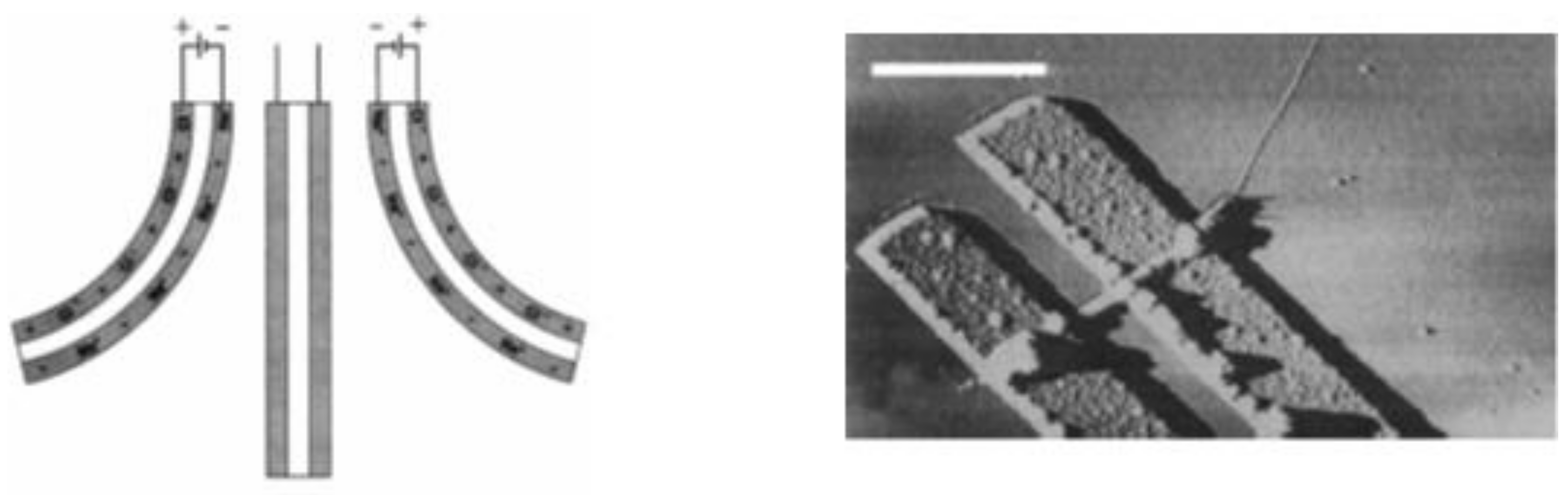 Actuators 08 00046 g004