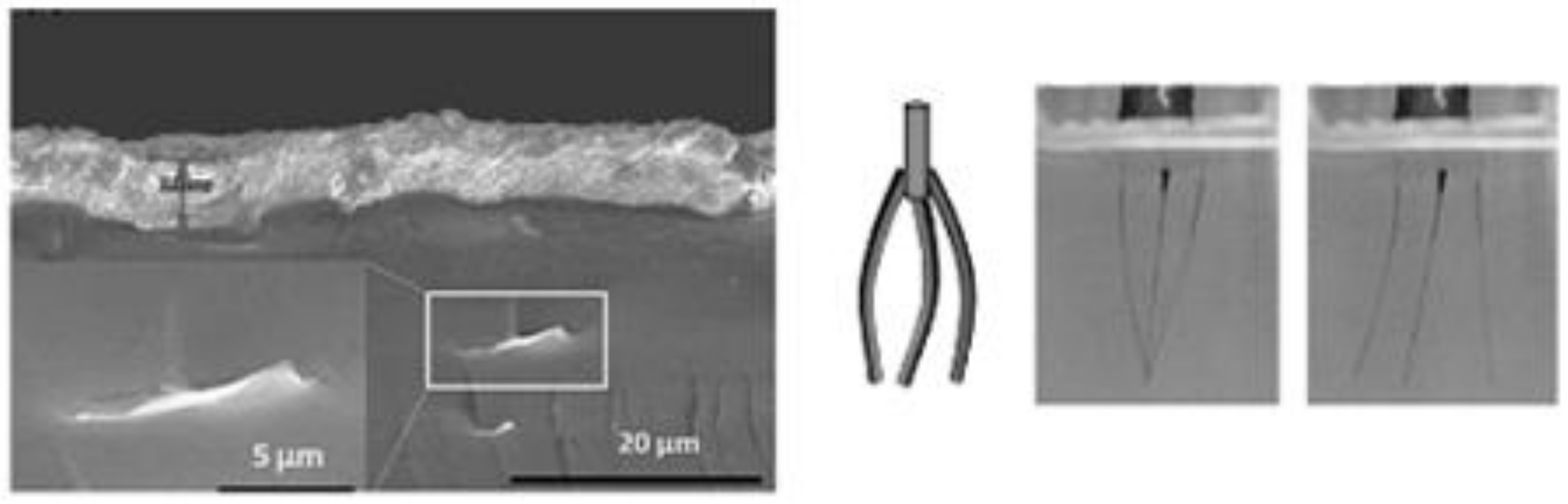 Actuators 08 00046 g005