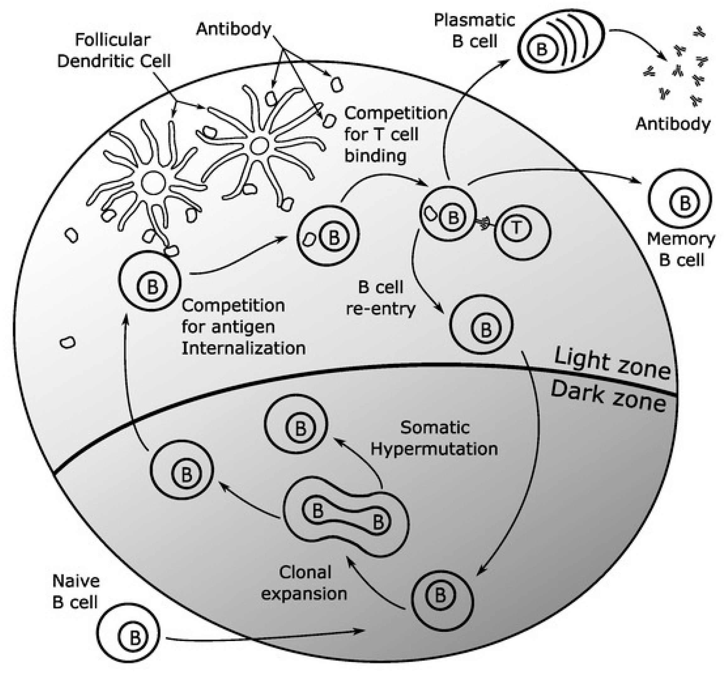 Actuators 08 00053 g008