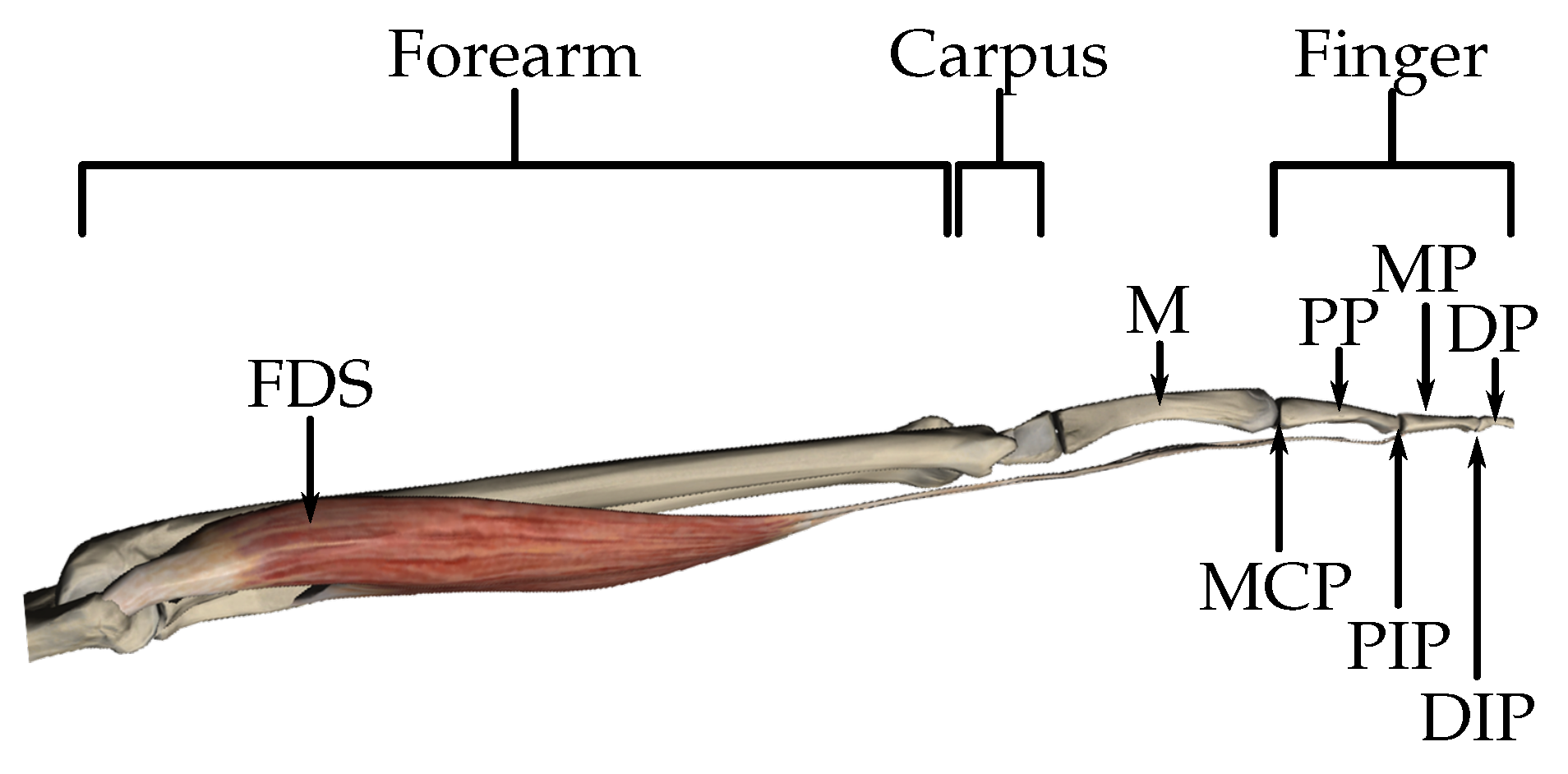 Actuators 08 00058 g001