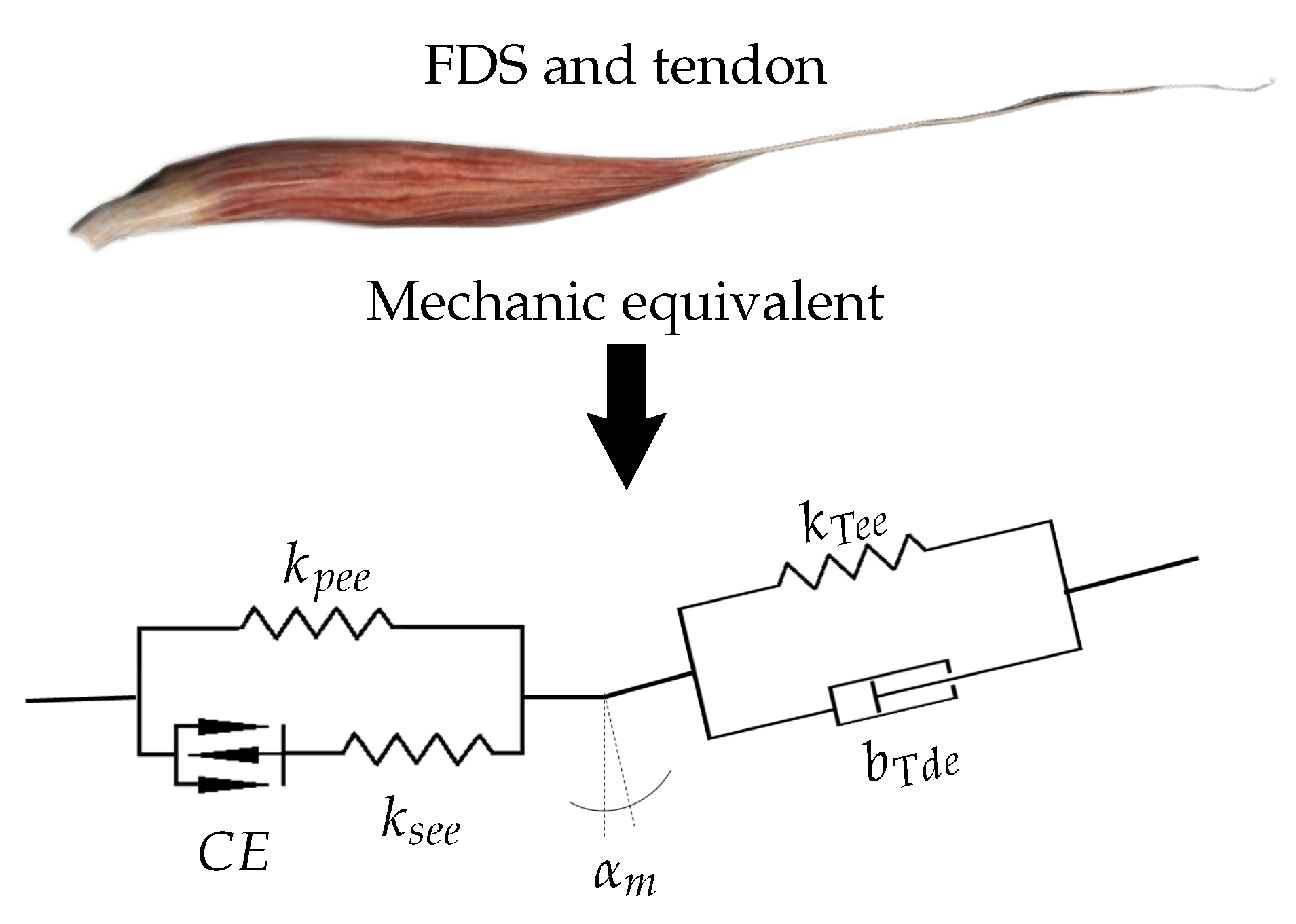 Actuators 08 00058 g003