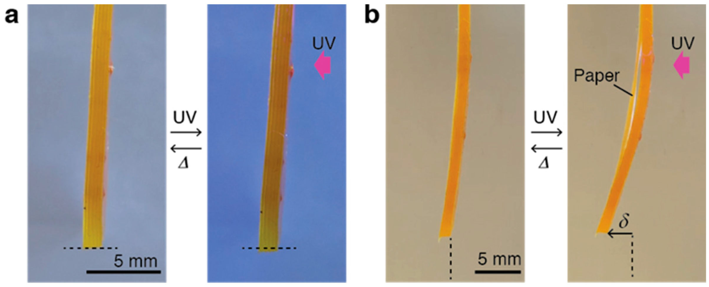 Actuators 08 00068 g002