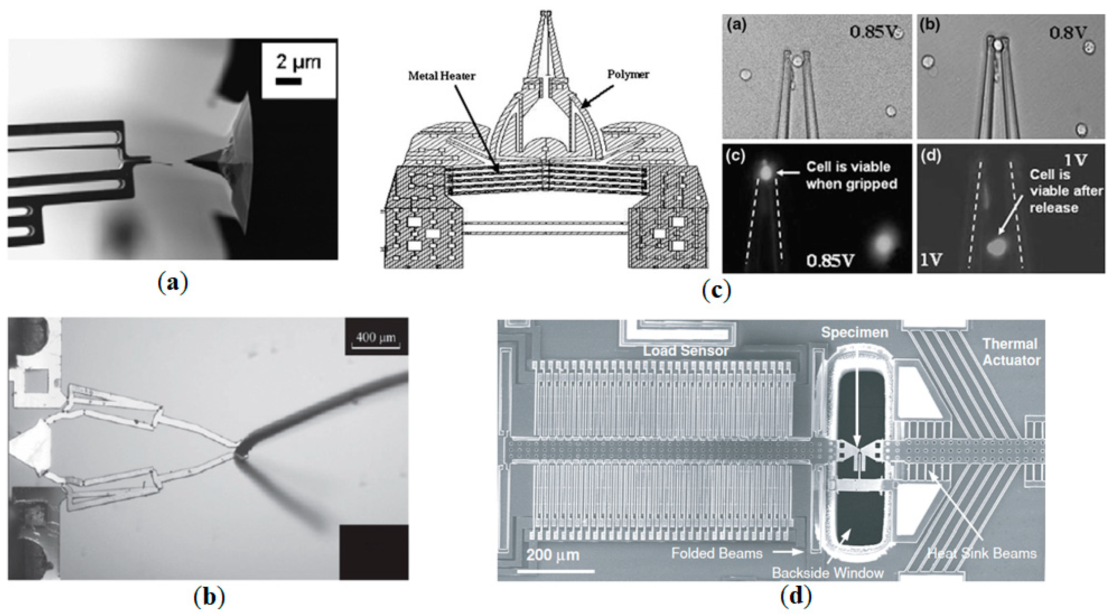 Actuators 08 00069 g006